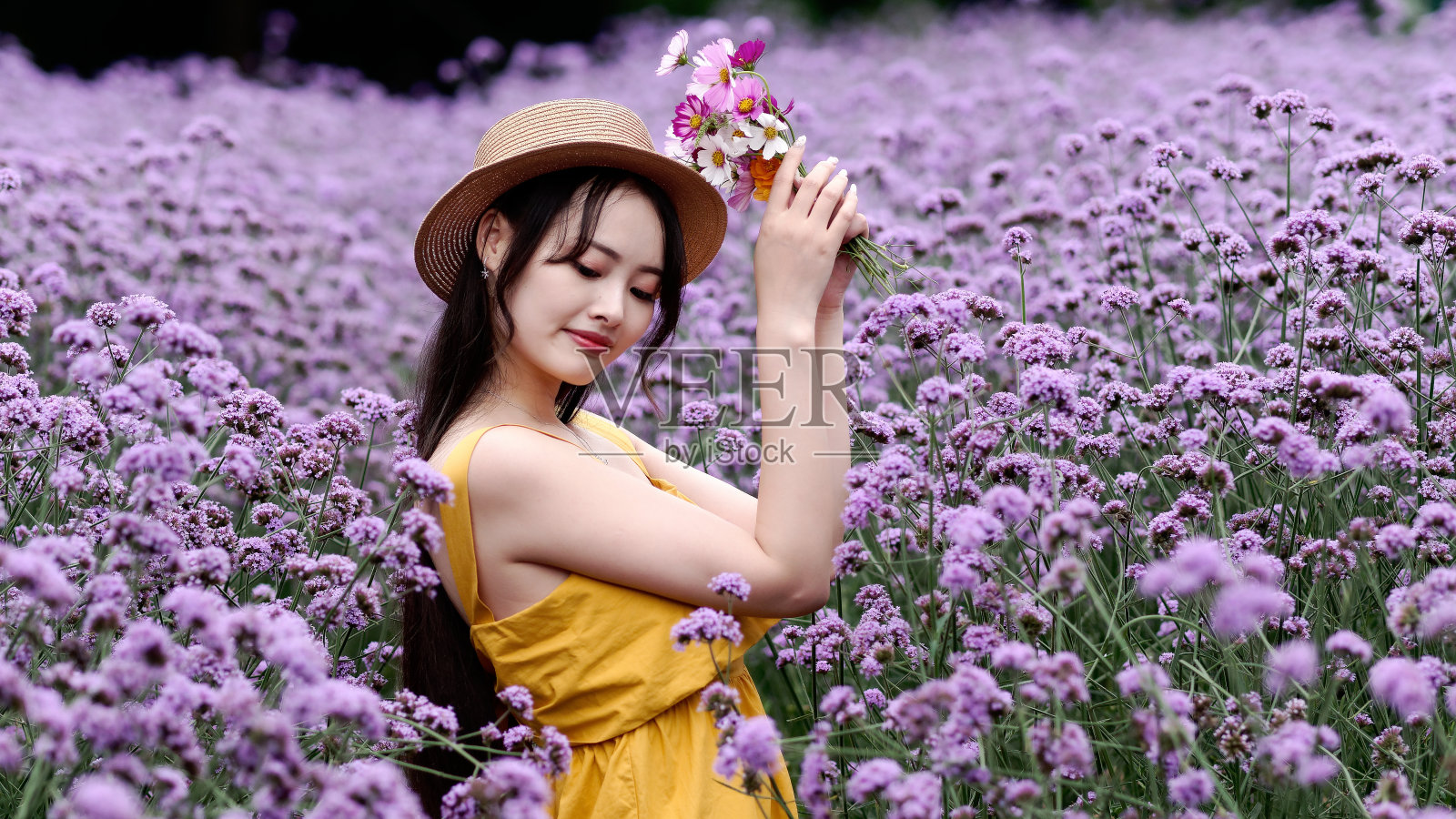 身着黄色服饰、头戴草帽、手捧五彩鲜花的美丽女子，在紫色的马鞭草花海中摆姿势，一头乌黑长发的迷人中国女孩在户外享受闲暇时光。照片摄影图片
