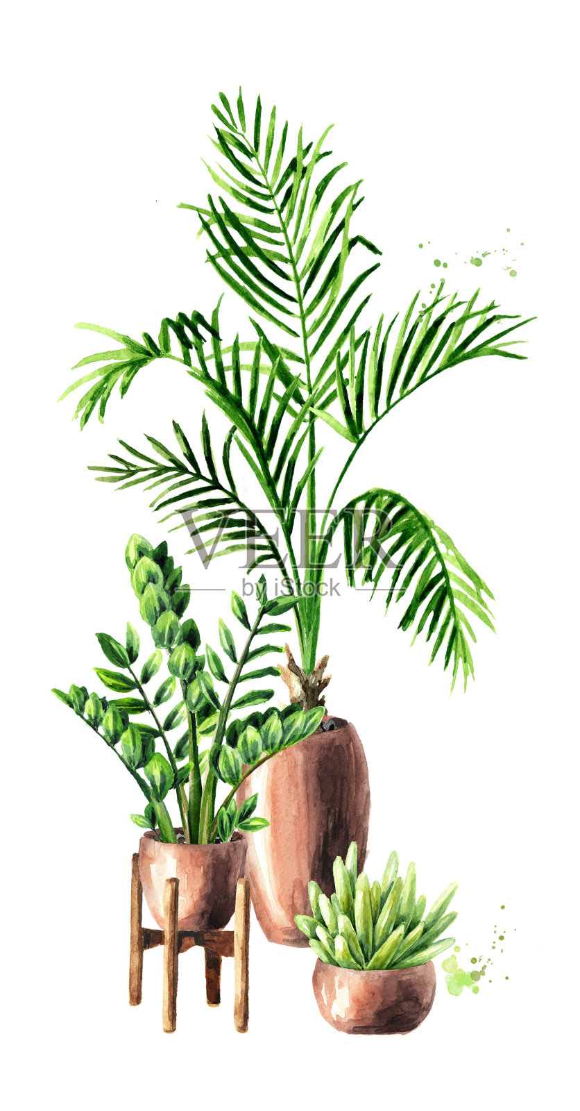 室内，家庭，室内植物。水彩手绘插图孤立的白色背景插画图片素材