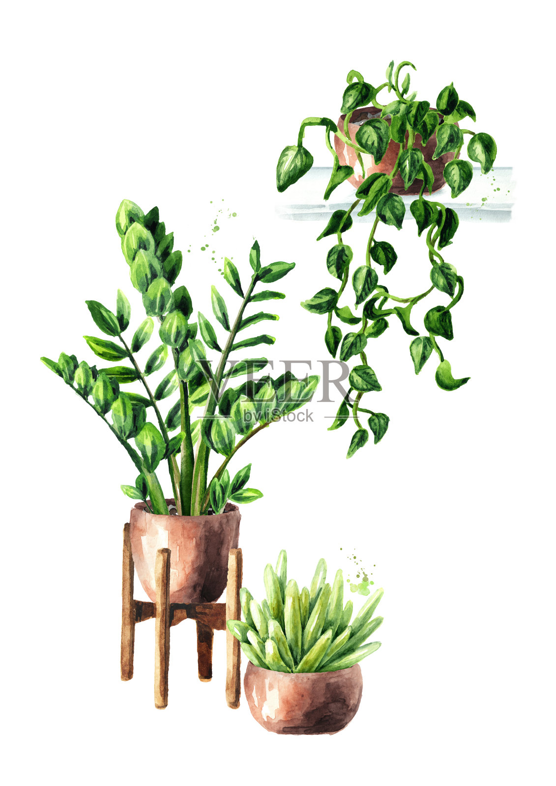 室内，家居，室内植物，水彩手绘插画插画图片素材