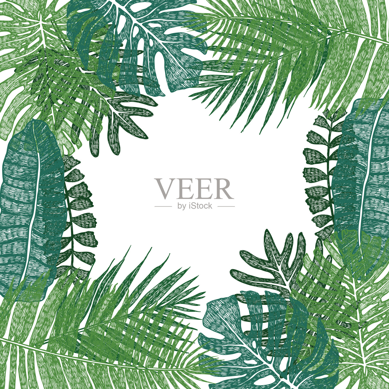 绿色热带棕榈叶框架手绘插图插画图片素材
