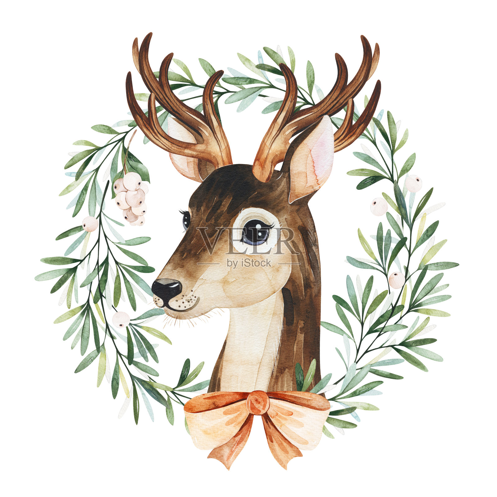 冬天用树叶，树枝，雪莓，槲寄生和可爱的鹿。插画图片素材