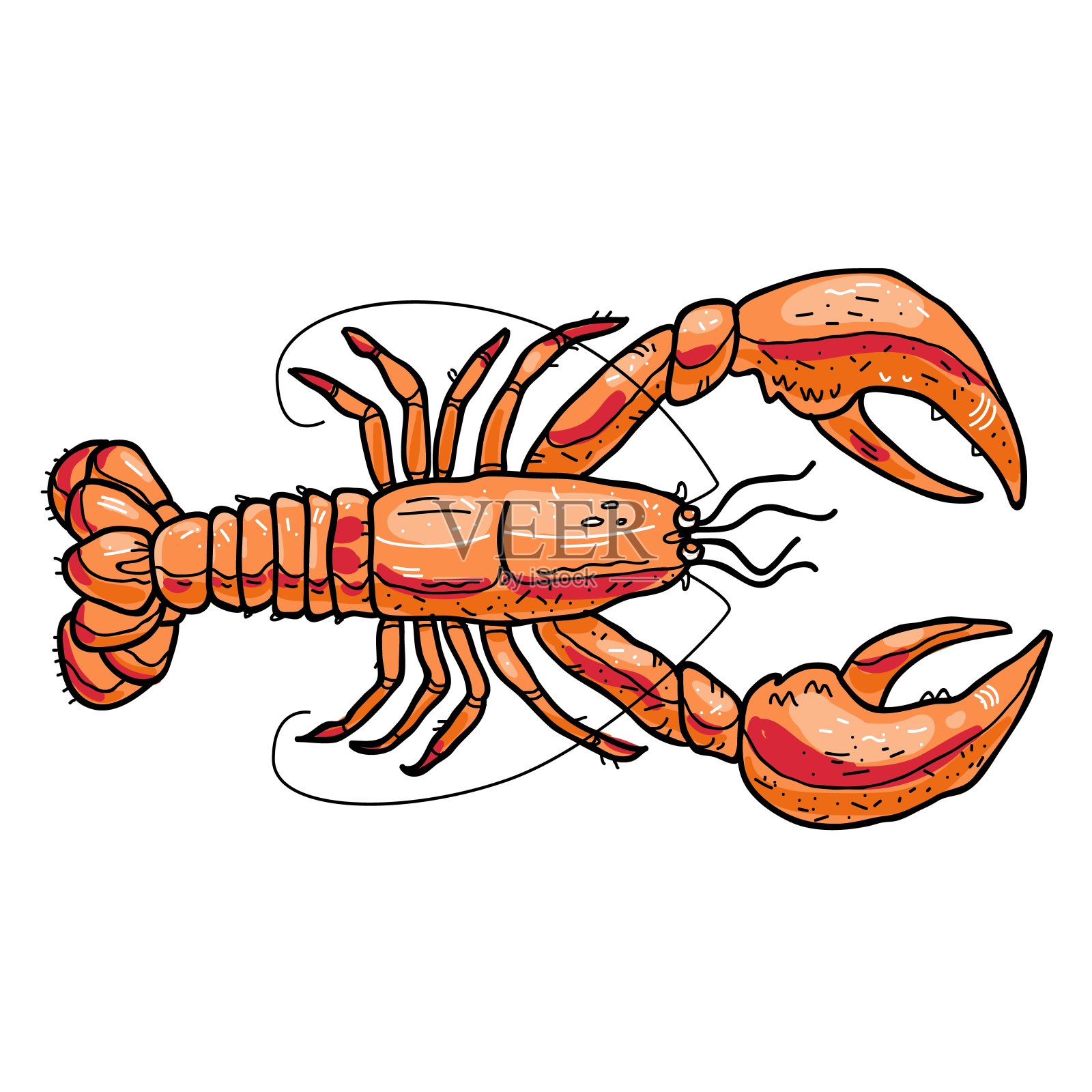 向量现实的龙虾插画图片素材