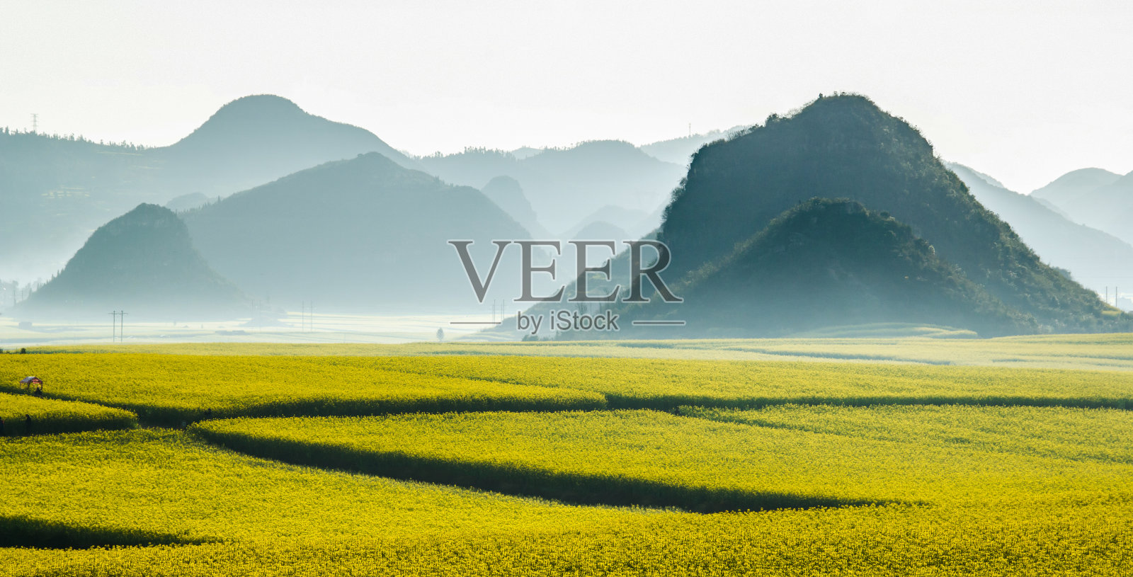 在中国的春天，油菜籽花的田野和山脉照片摄影图片