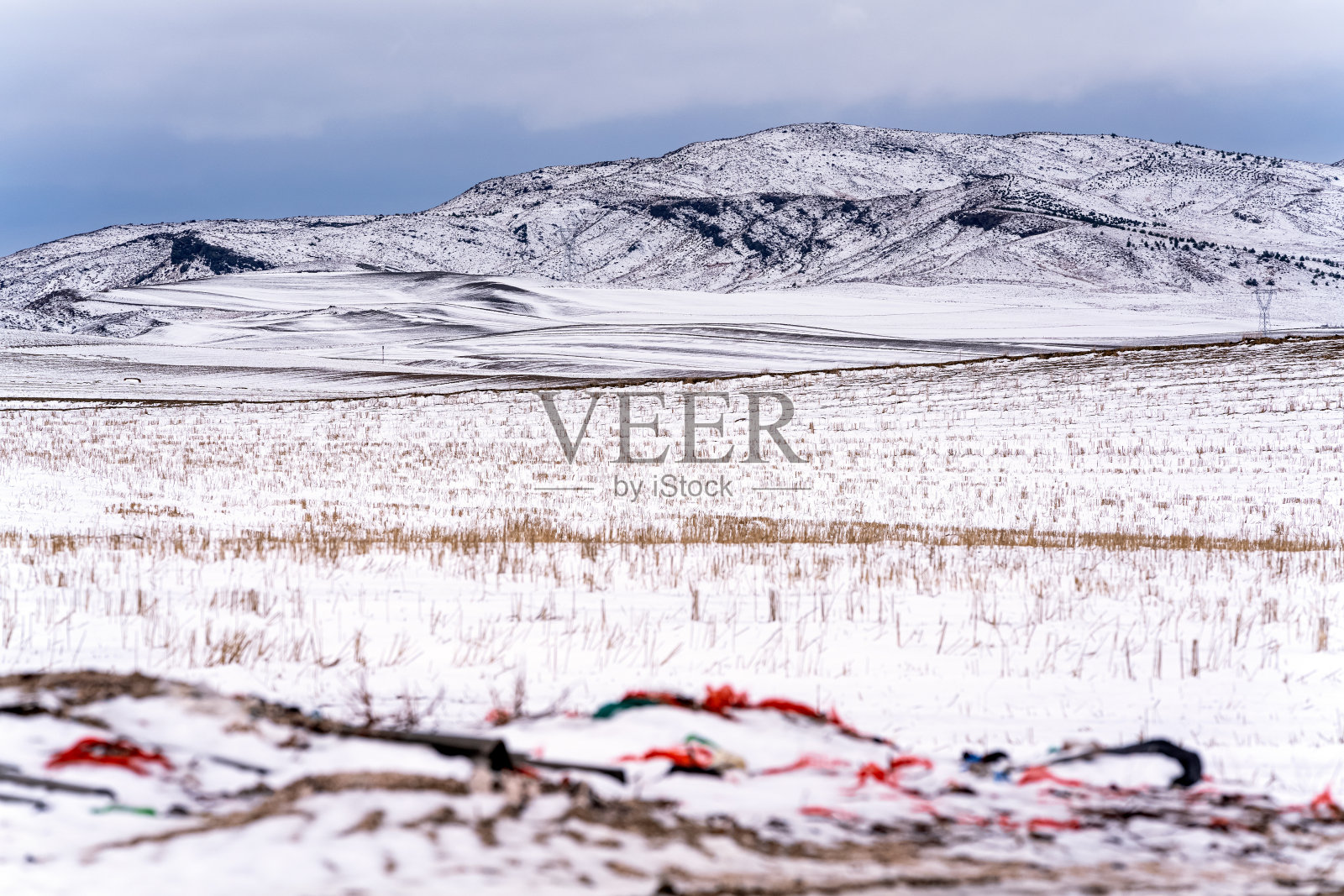 雪在草地，冬天的风景照片摄影图片