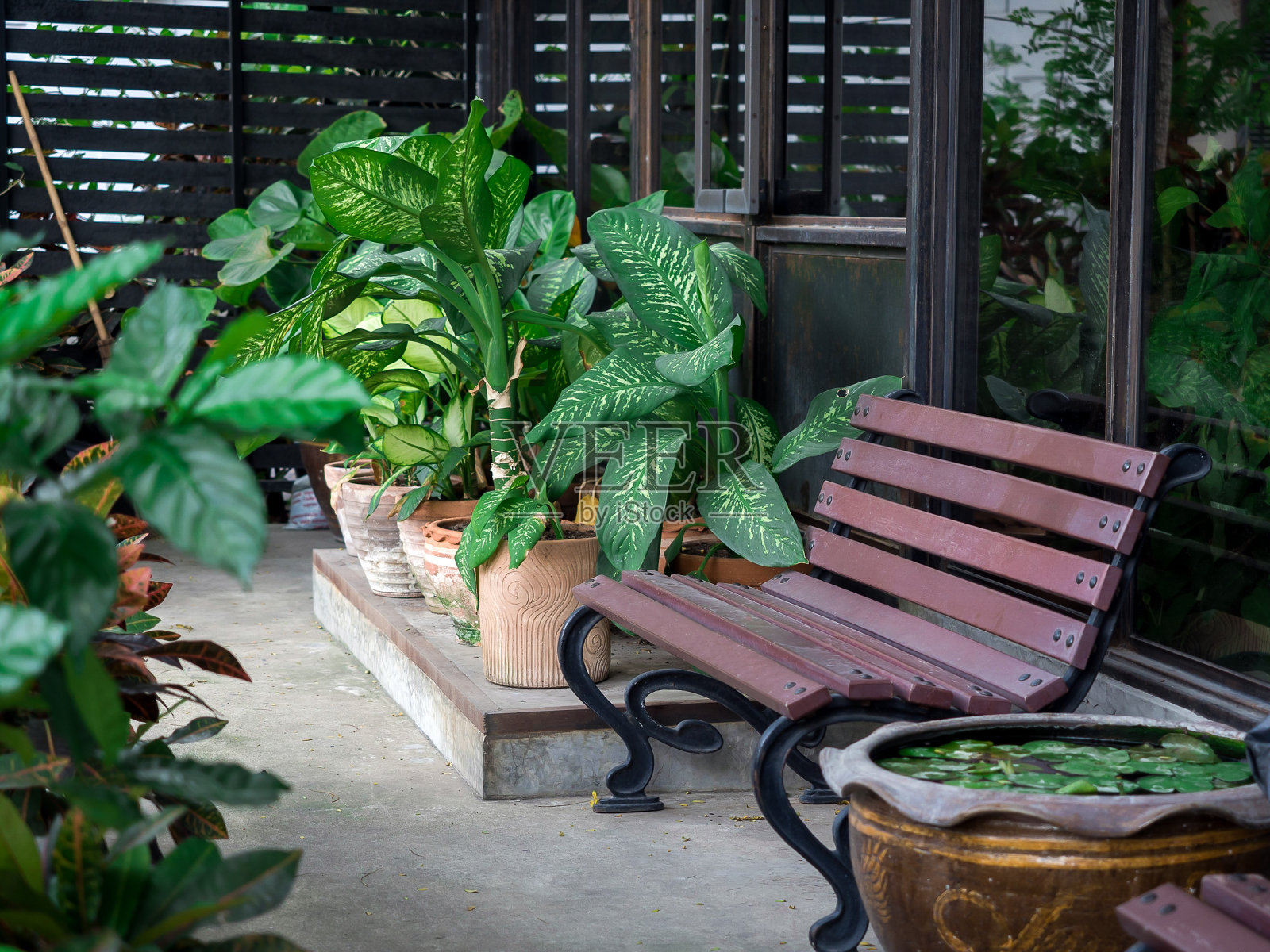门前的木凳上插着绿叶的盆栽植物。照片摄影图片
