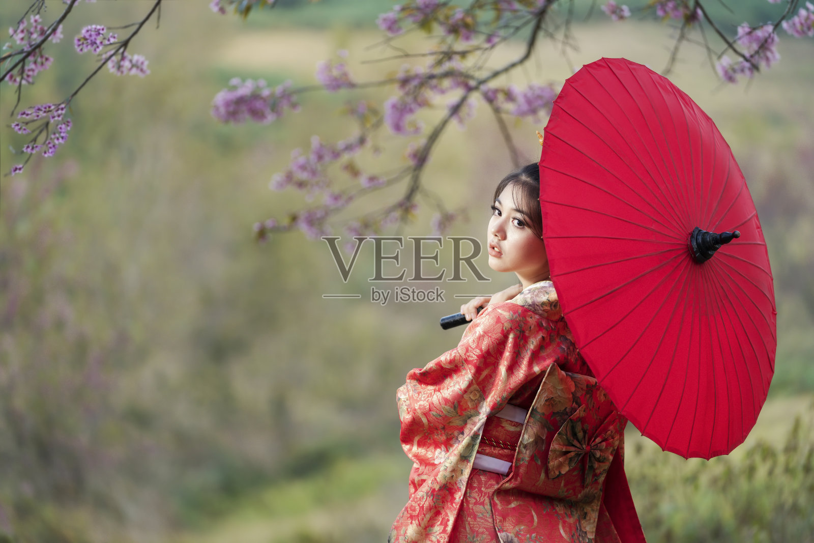 一个日本女孩穿着和服，戴着一把红色的雨伞。美丽的女性穿着传统的日本和服与樱花在春天，日本。亚洲女性游客照片摄影图片