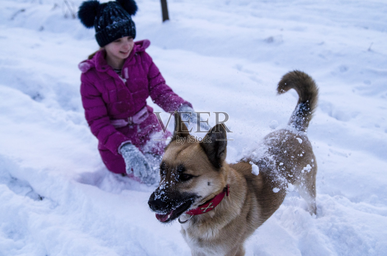 我的守护狗和雪是孩子们需要的一切照片摄影图片