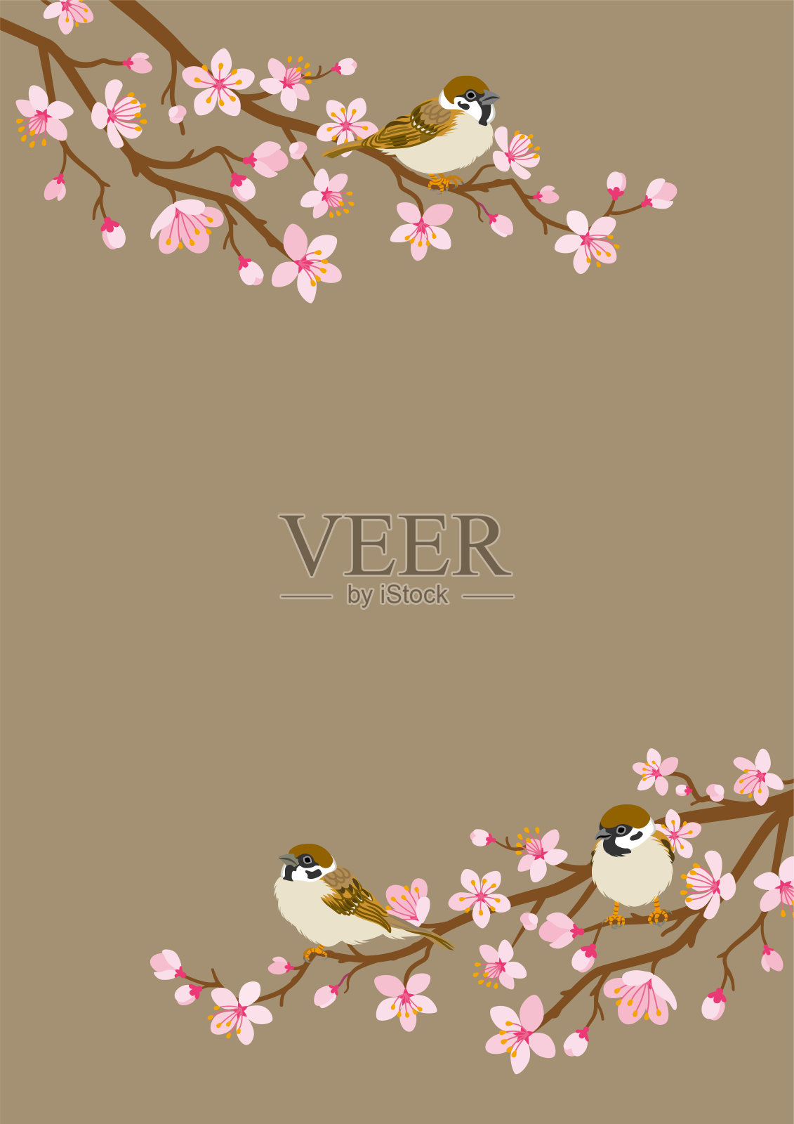 小鸟栖息在樱花枝上-家麻雀，垂直布局设计元素图片