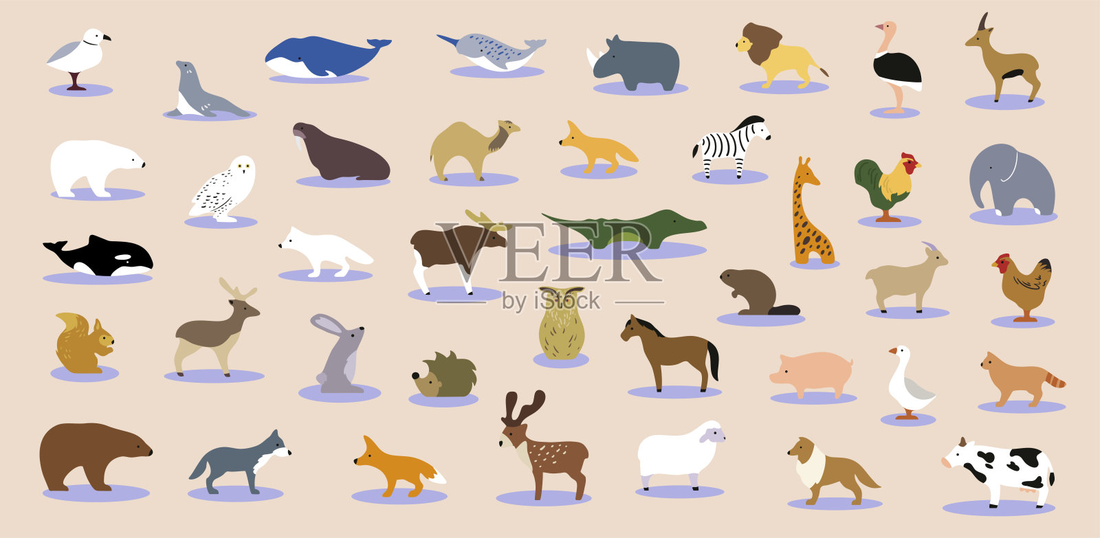 简单动物大集合插画图片素材