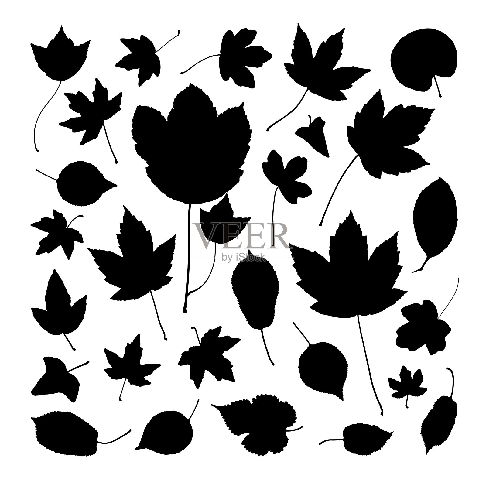 秋天的树叶剪影设置在黑色的颜色，枫树栗子白蜡树橡树桦树树胶山毛榉胡桃花榆树叶。叶子包括作为艺术刷子在图书馆库存插图设计元素图片