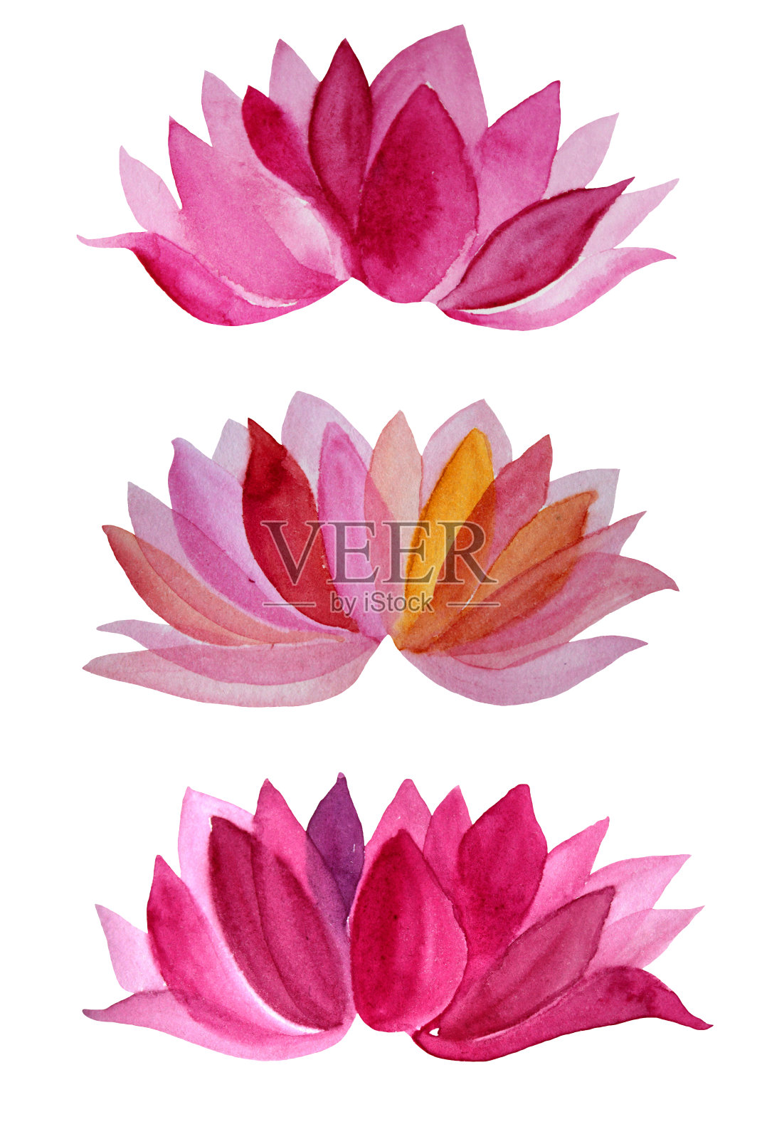 设置水彩手绘粉红色的花莲花孤立在白色的背景设计元素图片