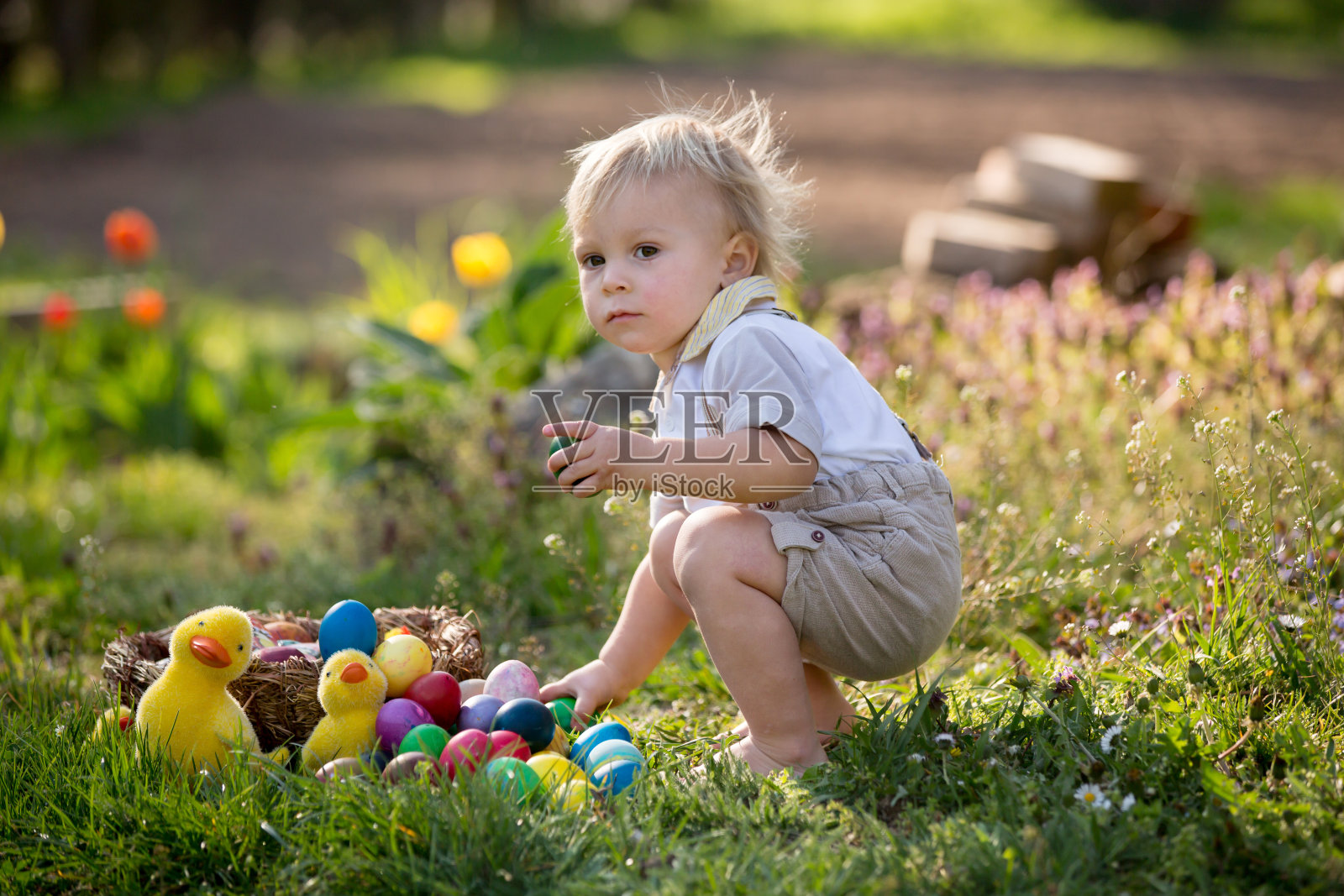 可爱的学步男孩兔耳朵，寻找复活节彩蛋，儿童和复活节的传统照片摄影图片
