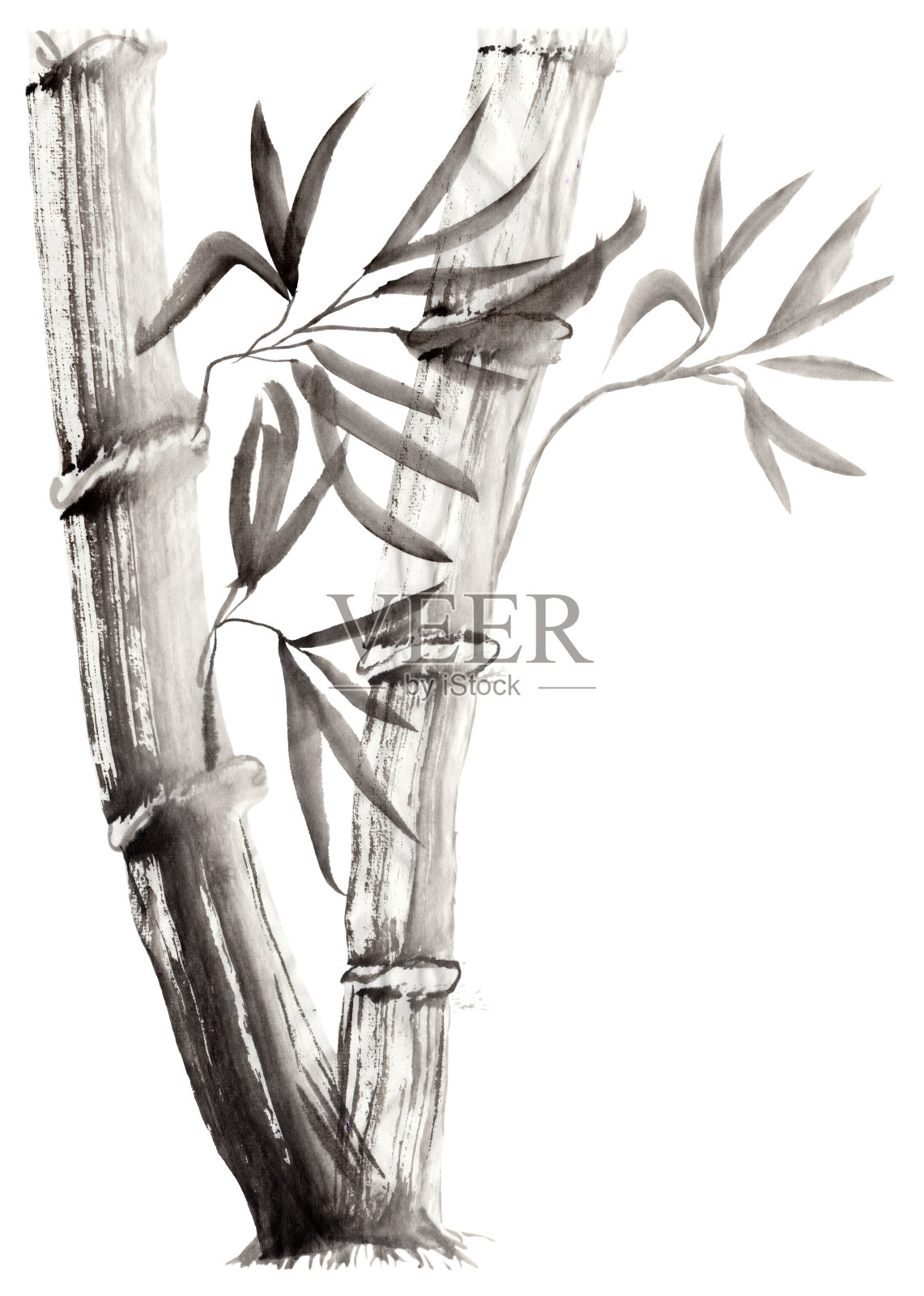 日本民俗画中的花卉插画。单色手绘幻想竹茎和叶子孤立在一个白色的背景。蜡染，书皮，t恤印花，问候，请帖插画图片素材