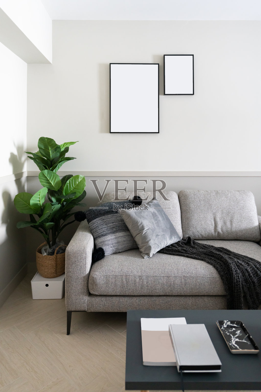 舒适的客厅角落，深灰色的天鹅绒织物沙发，人工植物和安装在墙上的空画框/舒适的室内概念/广告空间/斯堪的纳维亚风格的室内照片摄影图片