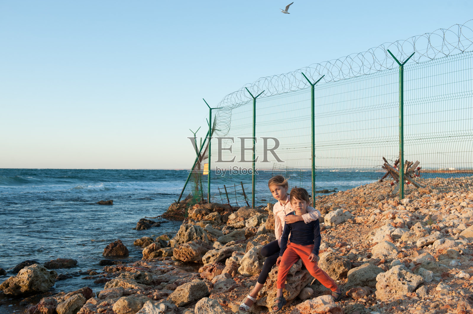 非法移民两个可怜的小孩难民小妹妹小女孩抱着小弟弟小男孩坐在海边的石头上用铁丝网铁丝网在国境线上与自由飞翔的小鸟照片摄影图片