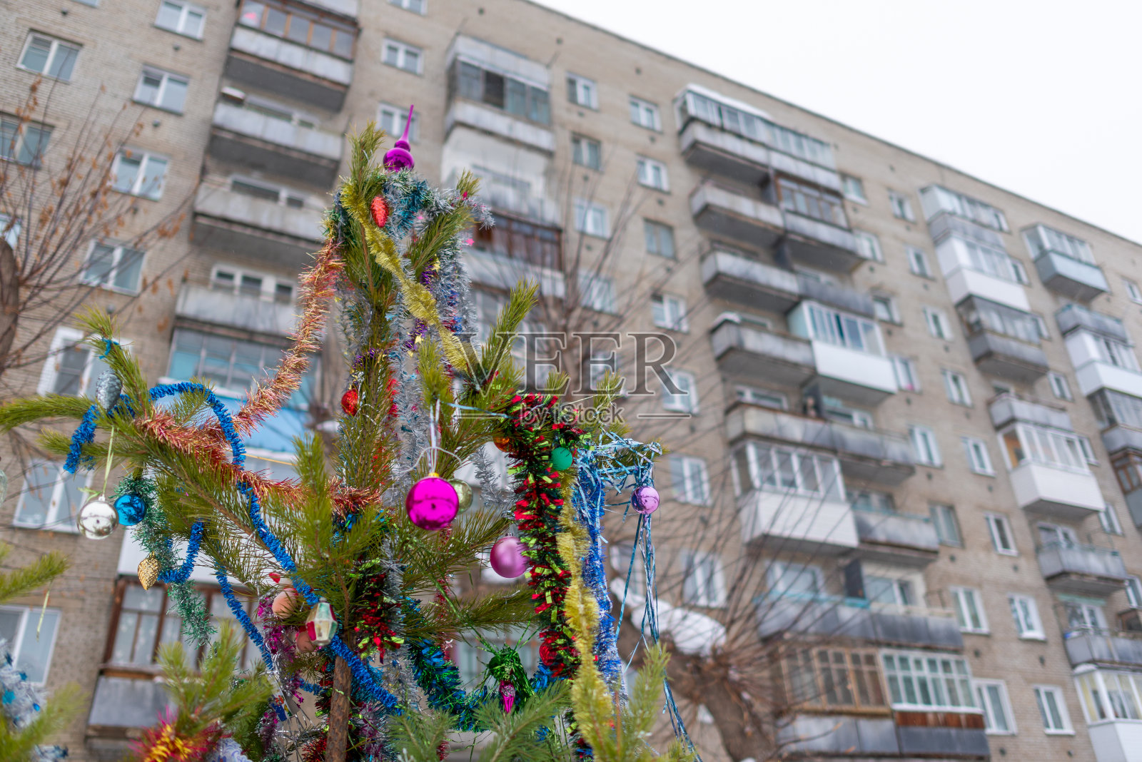 在俄罗斯的一个城市，一棵装饰着花环和金属箔的圣诞树矗立在一幢带有阳台的住宅楼的院子里，以迎接新年假期。照片摄影图片