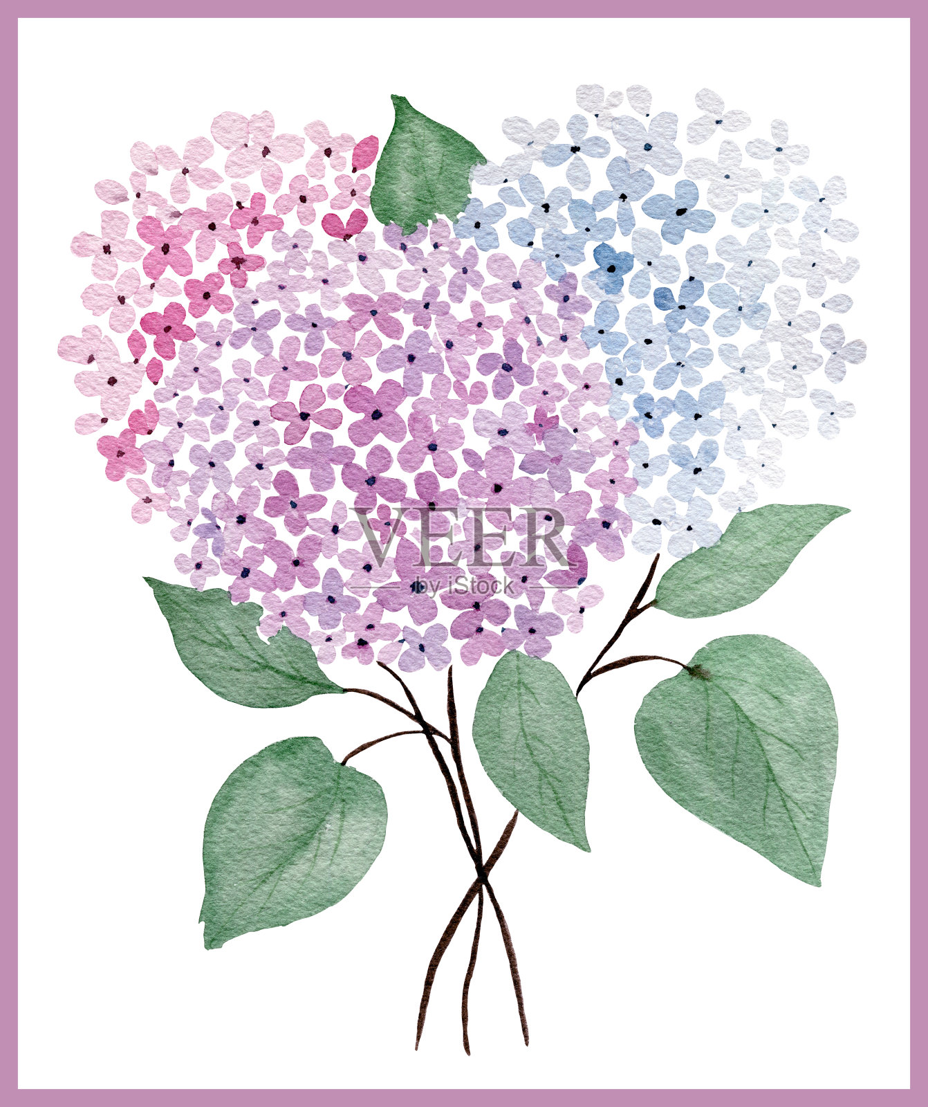 水彩春花束孤立在白色背景上，母亲节花卡设计，春花束装饰插画图片素材