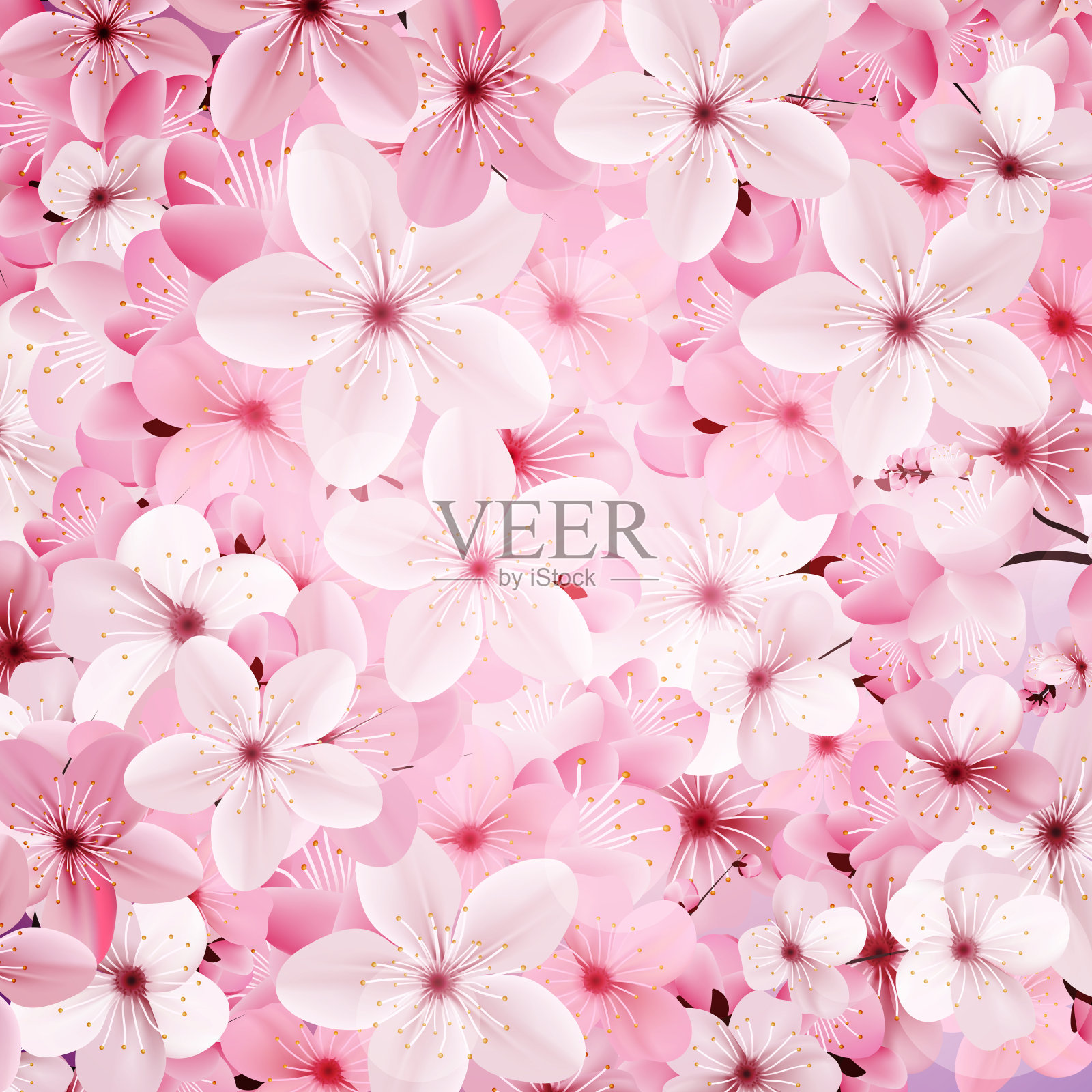 盛开的粉红色樱花背景。美丽的打印设计元素图片