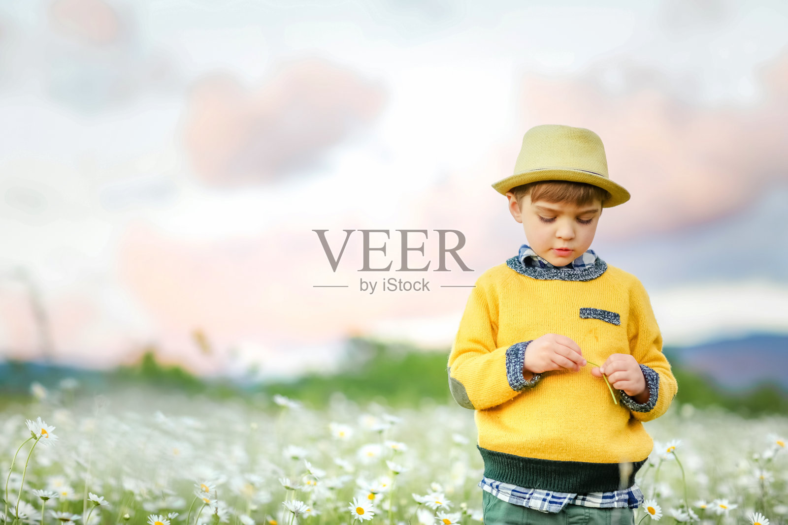 一个男孩站在雏菊盛开的田野里照片摄影图片