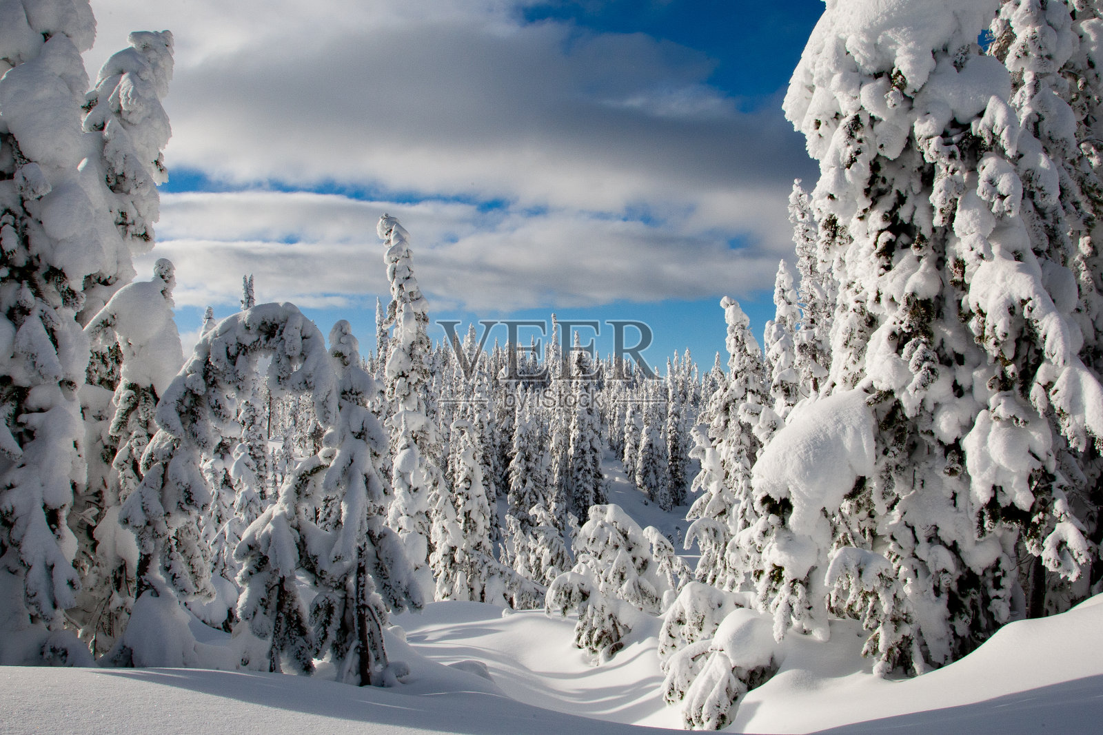 冬季的黄石山脉景观照片摄影图片
