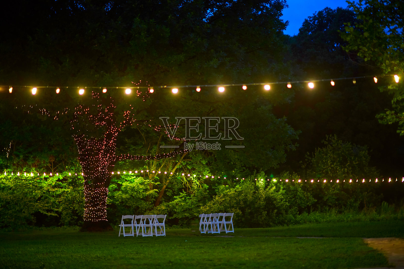 晚上在婚礼现场的树上挂着灯泡照片摄影图片