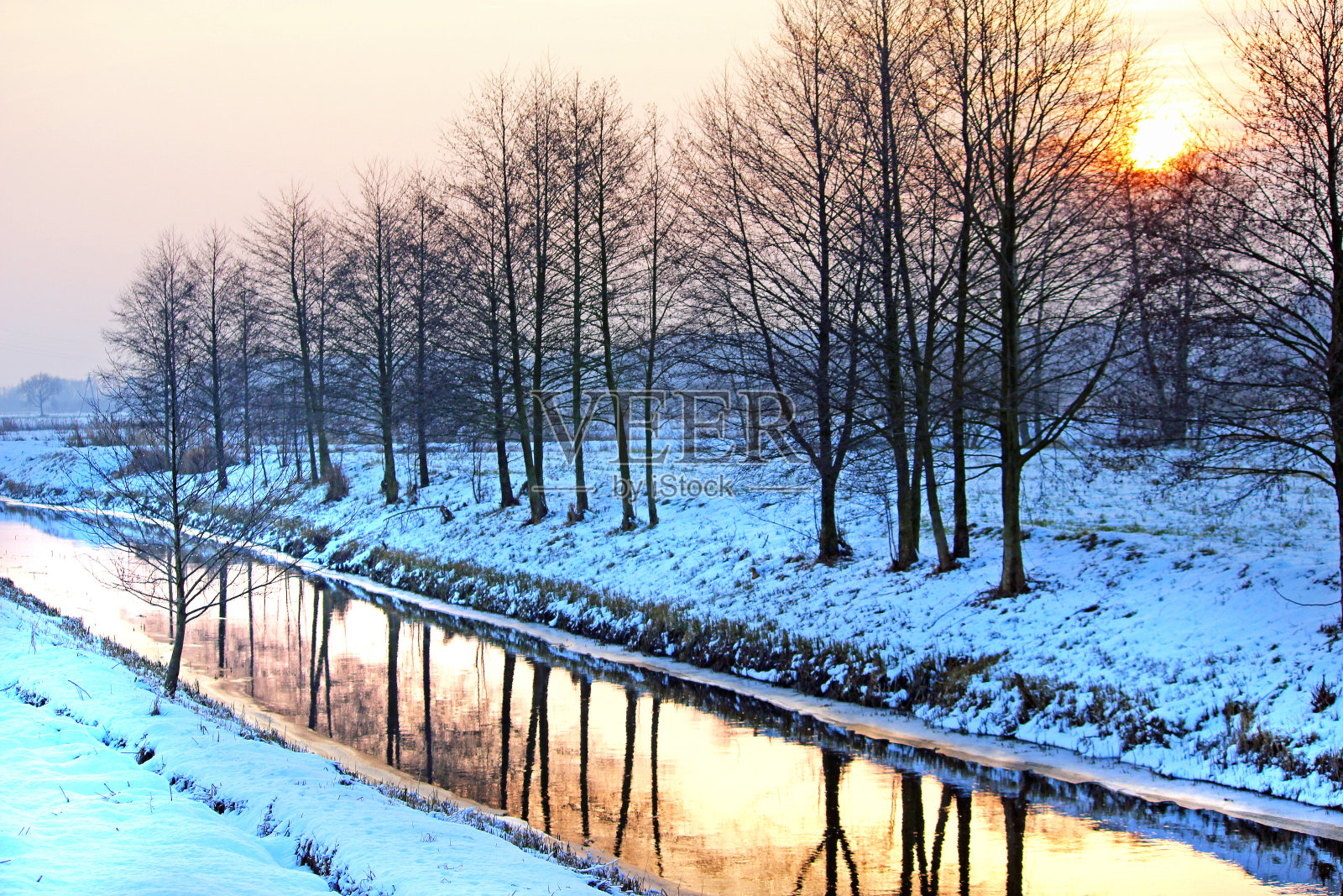 美丽的日落在田野与树木在冬季的景象照片摄影图片