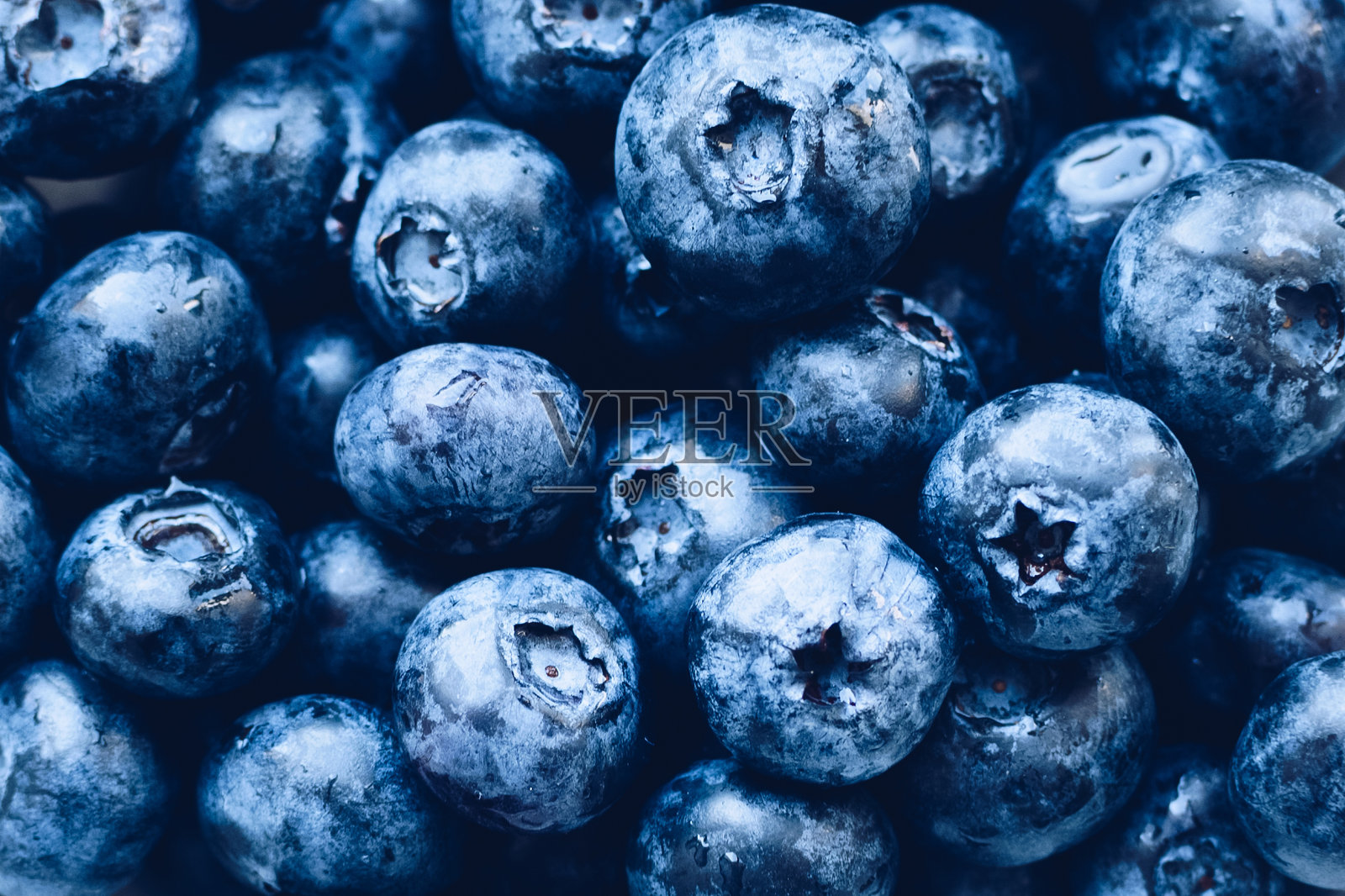 新鲜蓝莓抗氧化有机超级食品照片摄影图片