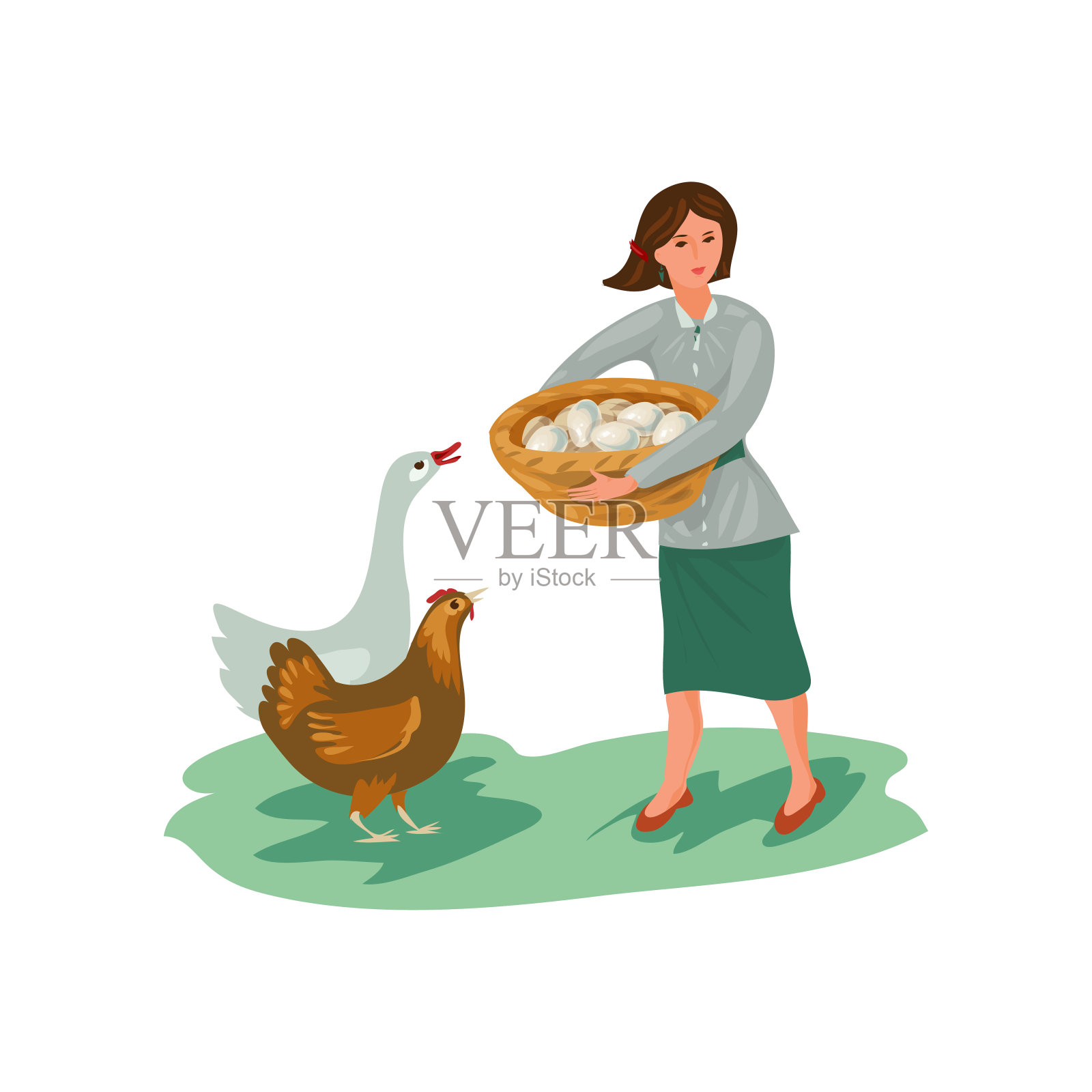 农妇在篮子里从鸡和鹅身上取鸡蛋插画图片素材
