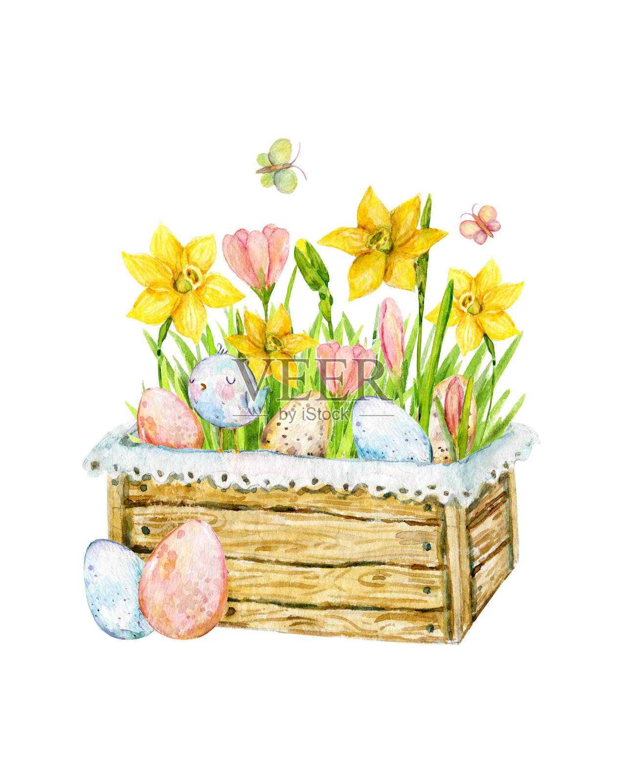 水彩花园盒子与水仙和番红花，叶，蛋和鸟。明亮的复活节构图孤立在白色的背景。春天。复活节快乐卡片，请帖插画图片素材