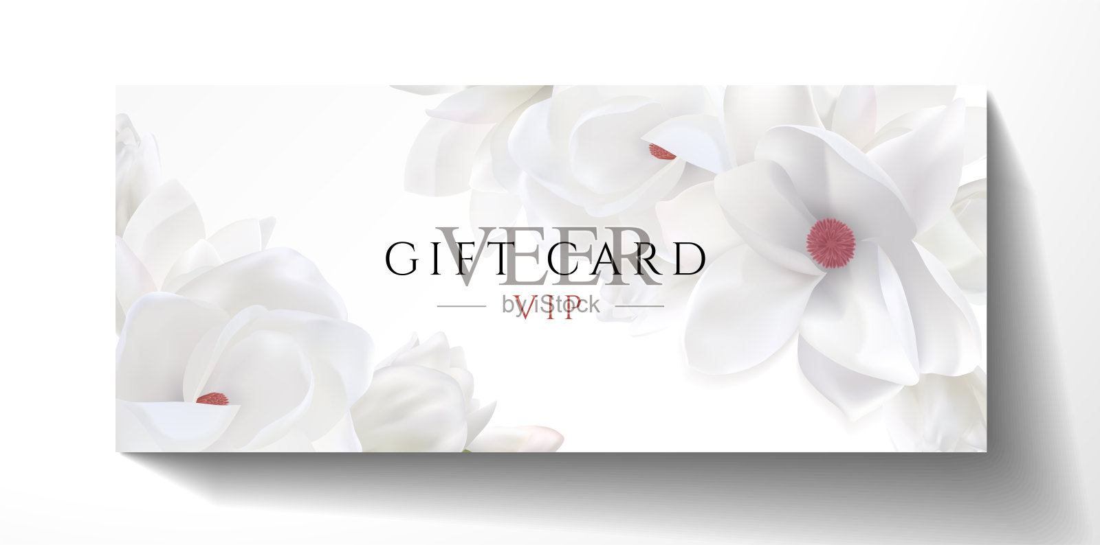VIP邀请礼品卡设计。白色背景与木兰花插画图片素材