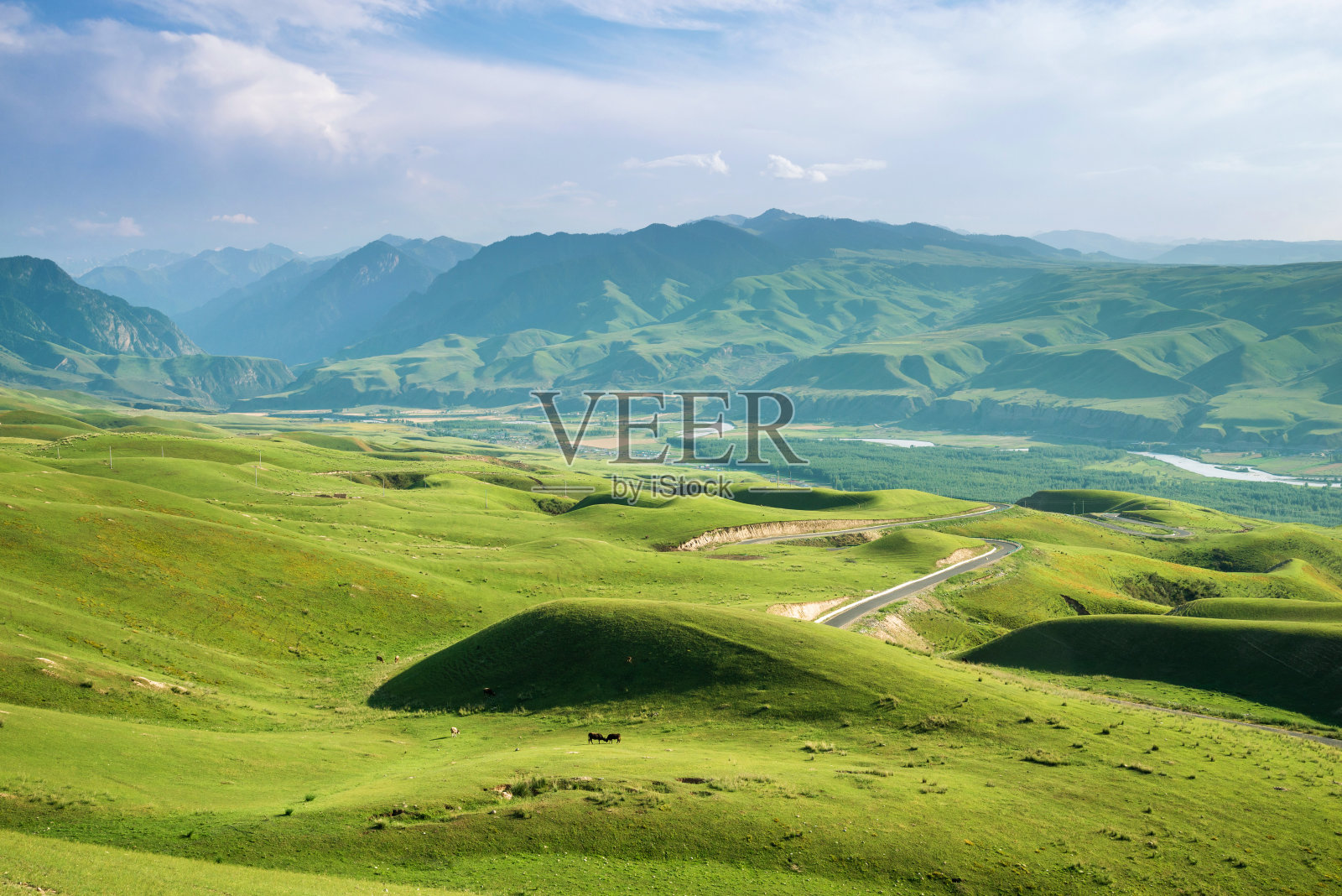 中国新疆天山高寒草甸照片摄影图片