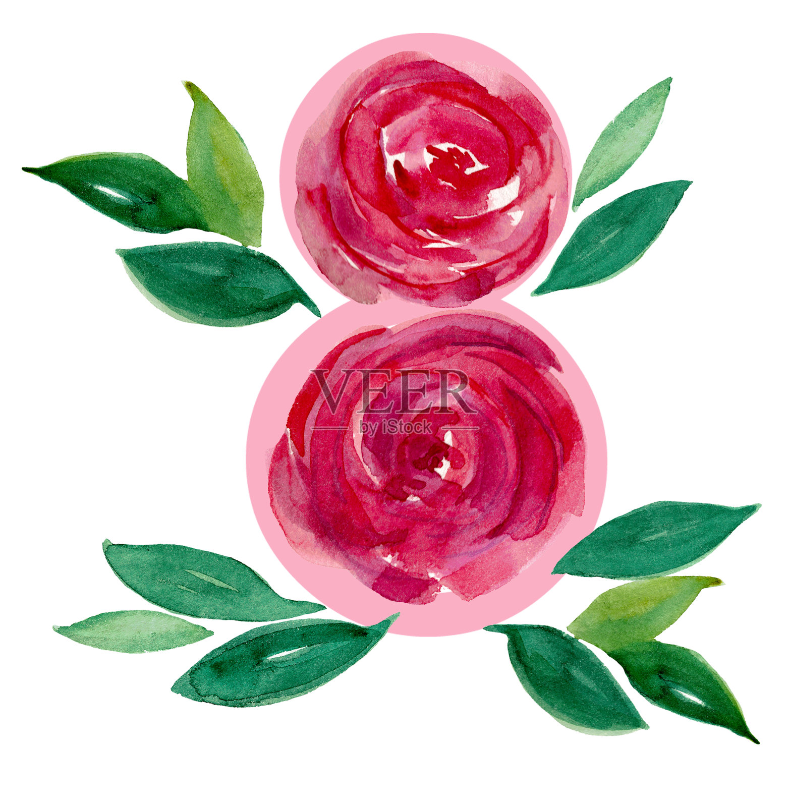 水彩8号8号由带叶子的粉红玫瑰花蕾制成插画图片素材