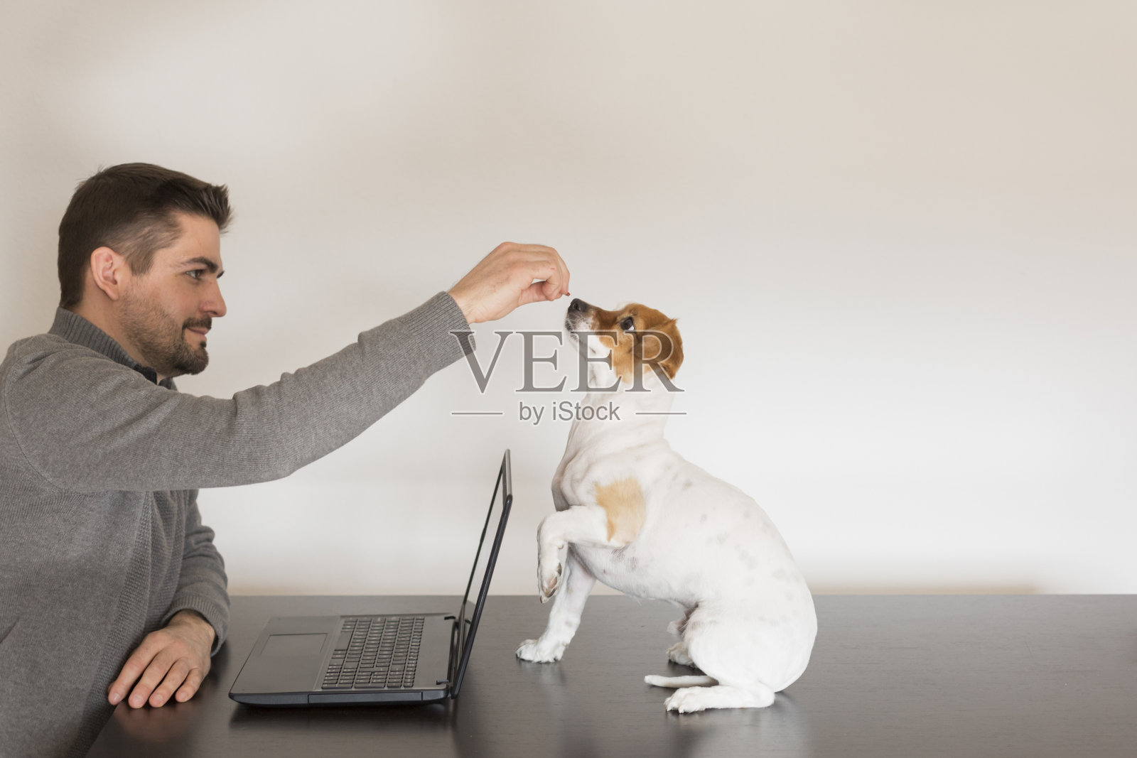 一个年轻人给他可爱的小狗喂食。笔记本电脑在桌子上。狗坐在桌子上。白色背景。在室内照片摄影图片