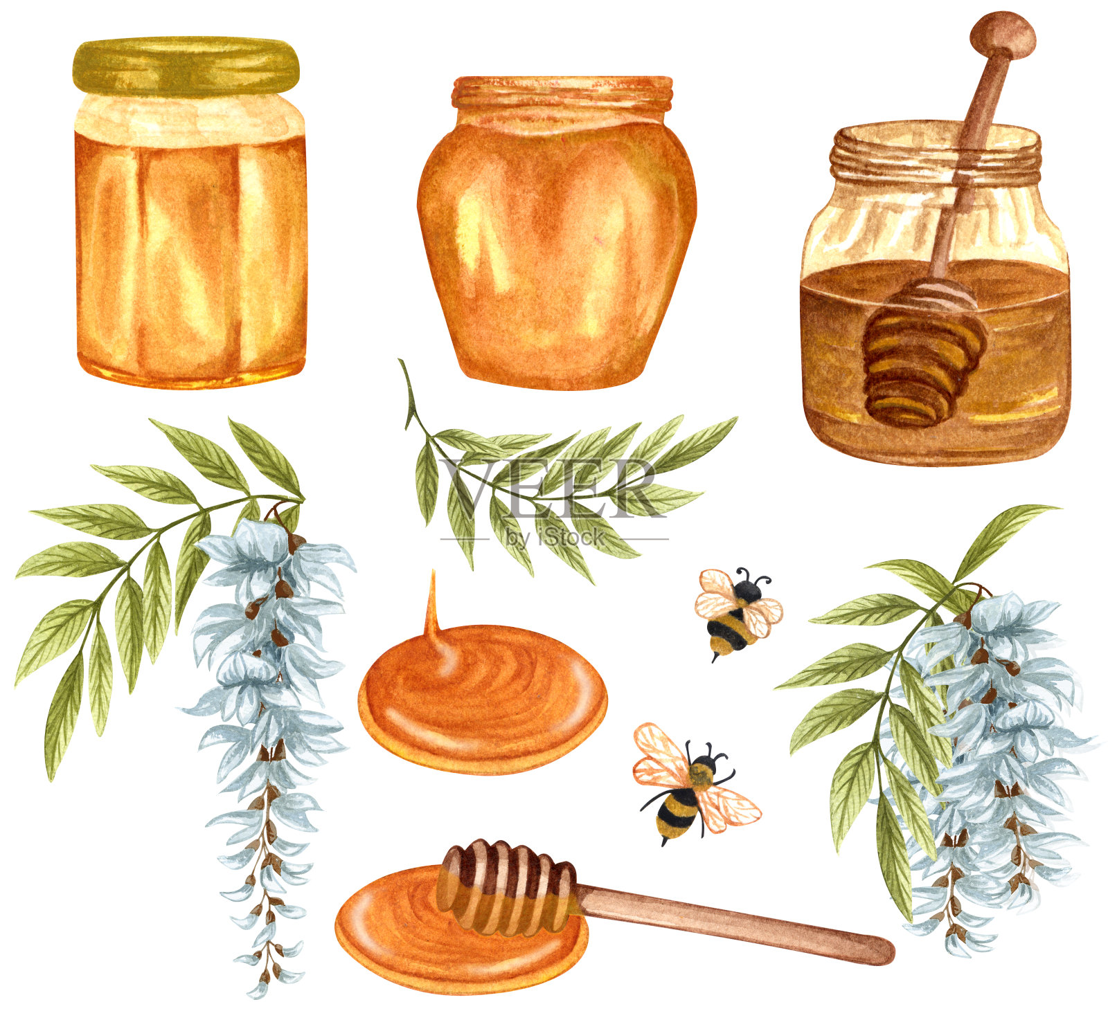 水彩画的金合欢蜂蜜在白色的背景。手绘集白色金合欢/紫藤花，蜜蜂，蜂蜜罐子和桶。插画图片素材