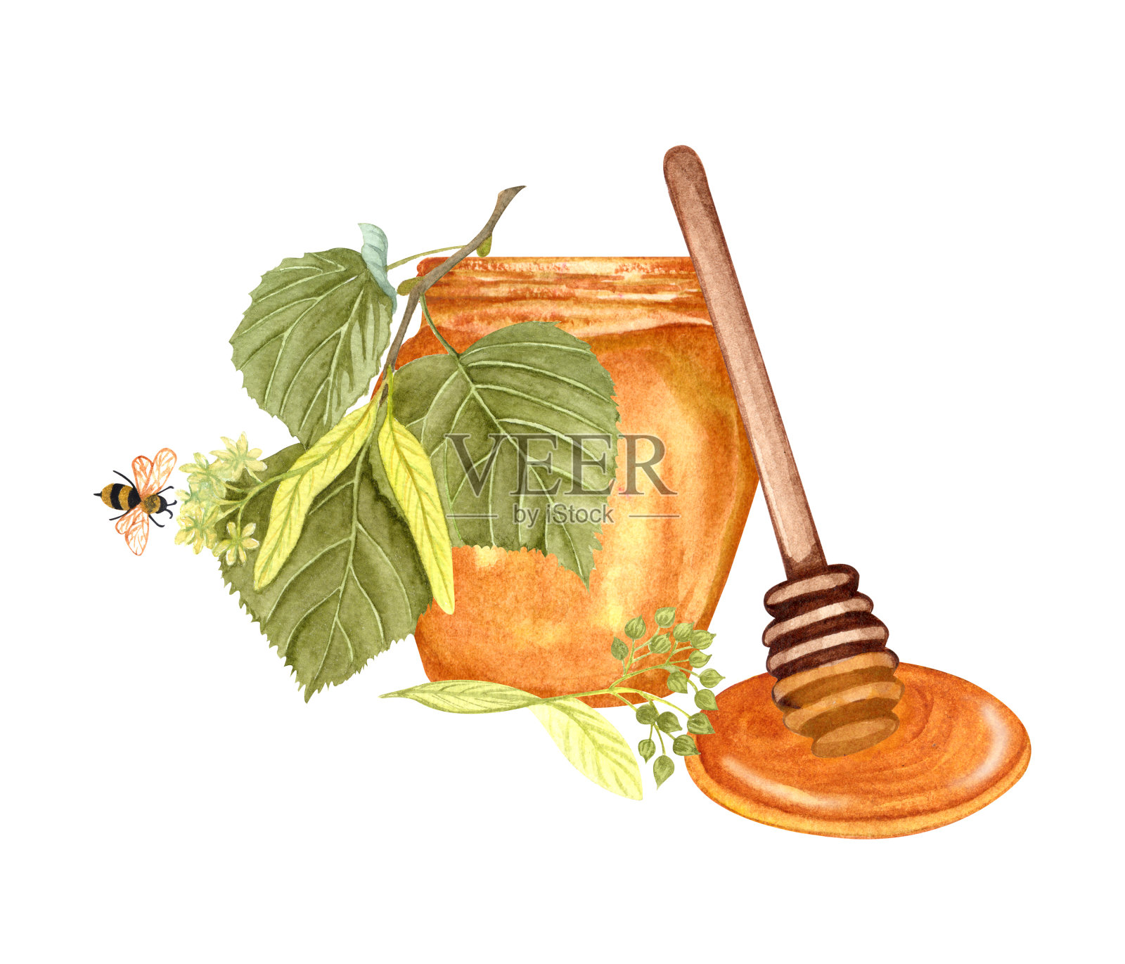 水彩蜂蜜罐和绿色椴树枝，木质蜂蜜浸。手绘有机食品插图孤立在白色背景。林登蜂蜜插画图片素材