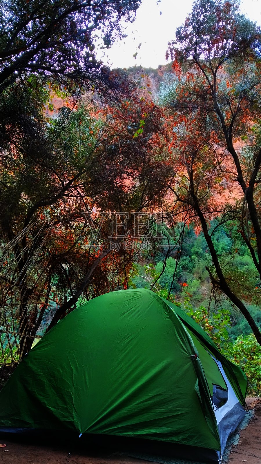 一个帐篷在不同的自然和它的颜色照片摄影图片