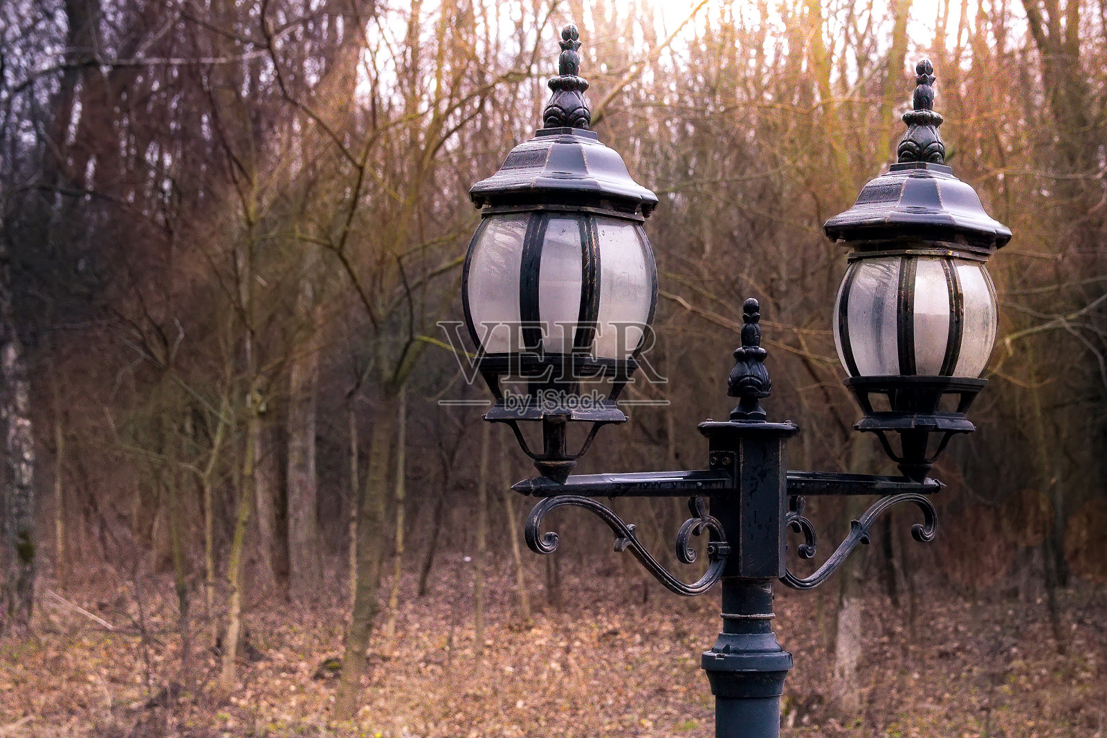 灯笼在秋天的公园里，映衬着光秃秃的树木照片摄影图片