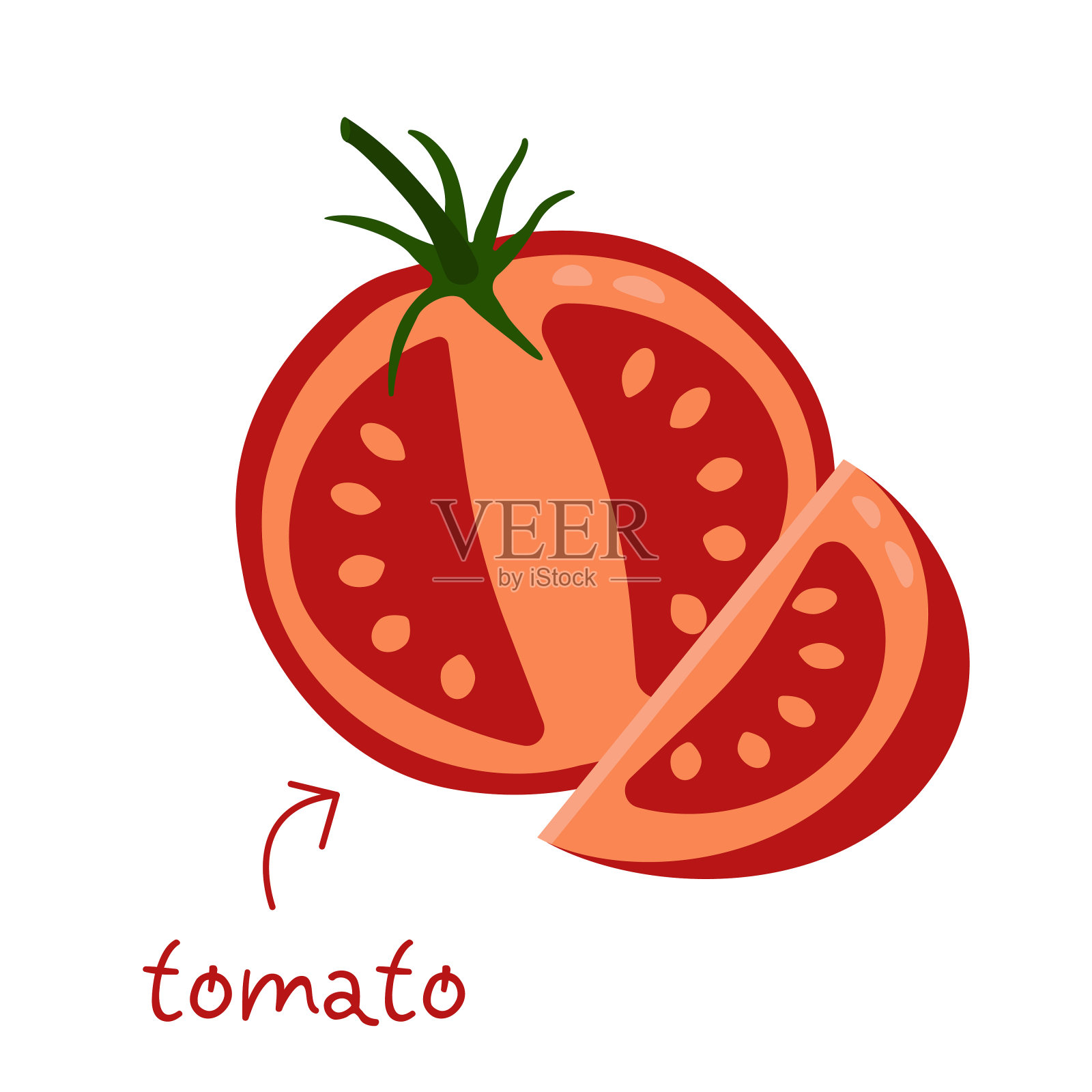 新鲜的红番茄切成半矢量插图设计元素图片