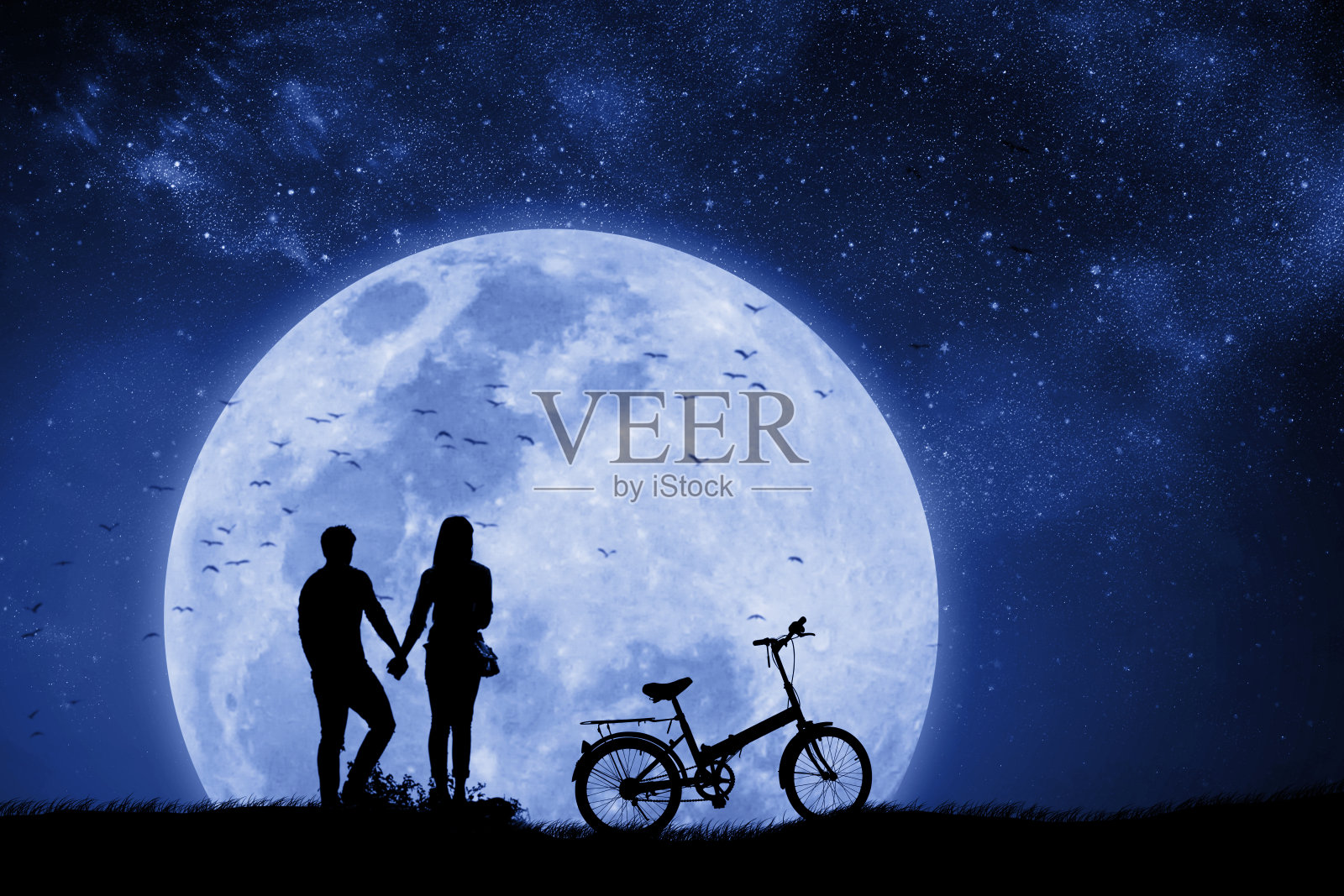 剪影夫妇的男人和女人手牵手满月的夜晚与一辆自行车和鸟儿飞回巢。混合媒体。质子紫色。照片摄影图片