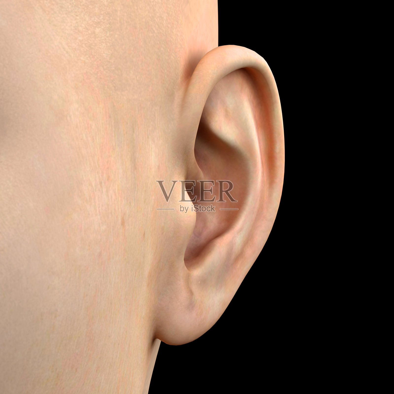 一个年轻女人的耳朵，特写3d渲染照片摄影图片