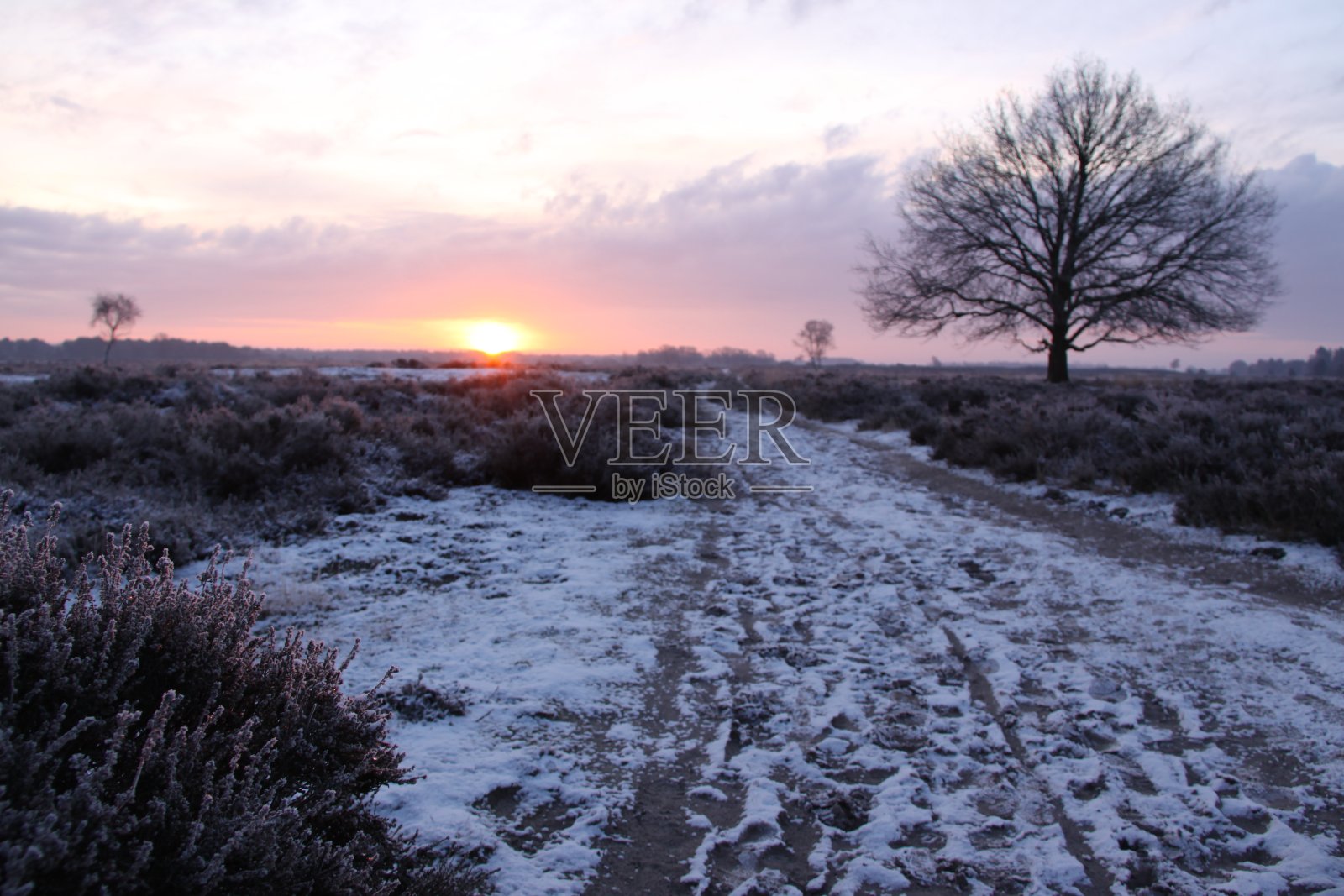 日出时的雪景。照片摄影图片