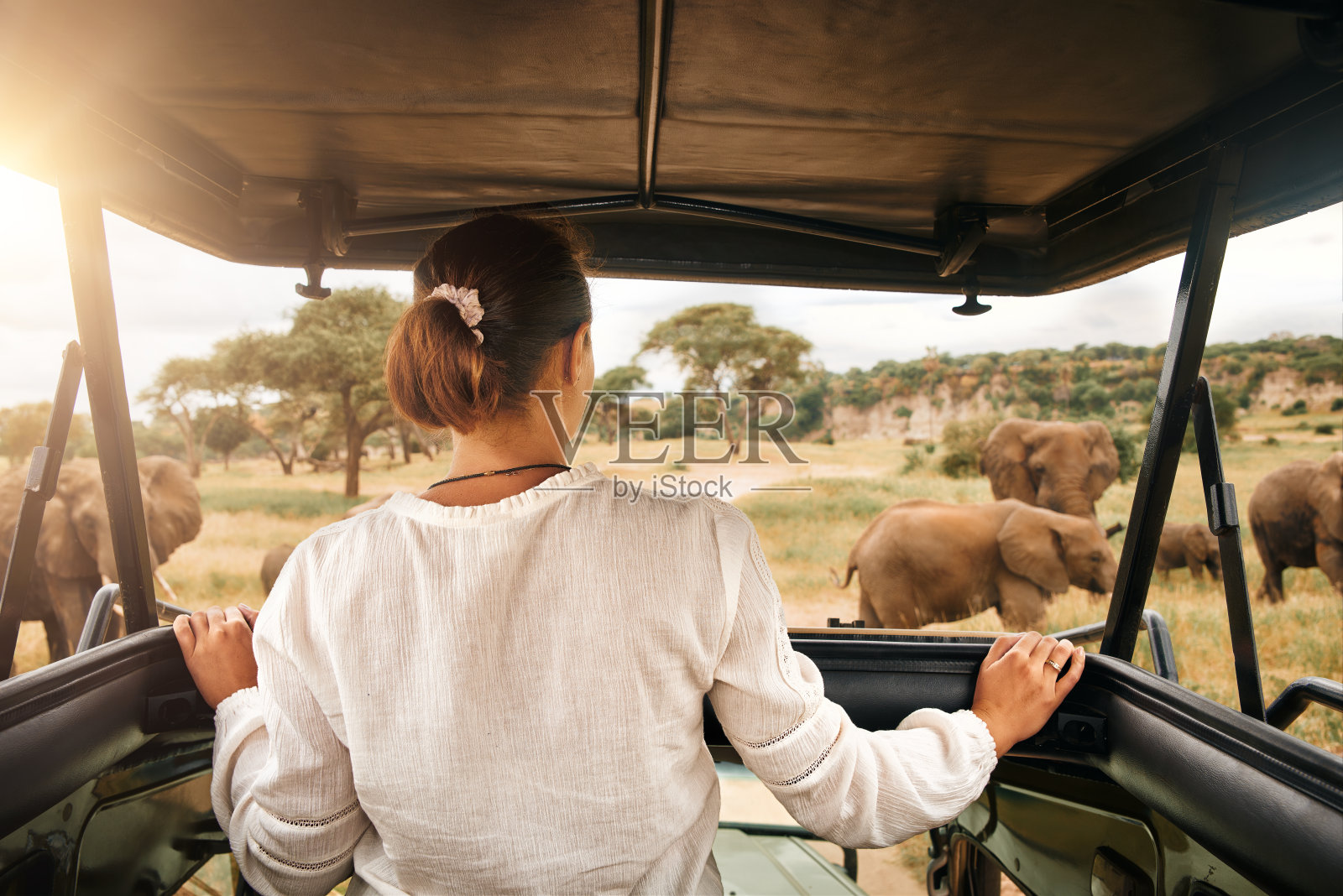 在非洲狩猎旅行的女性游客，在肯尼亚和坦桑尼亚开着敞篷的汽车旅行，在大草原上看大象照片摄影图片
