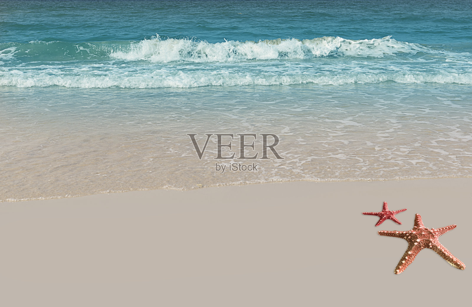 热带海滩背景海星和贝壳-假日概念照片摄影图片