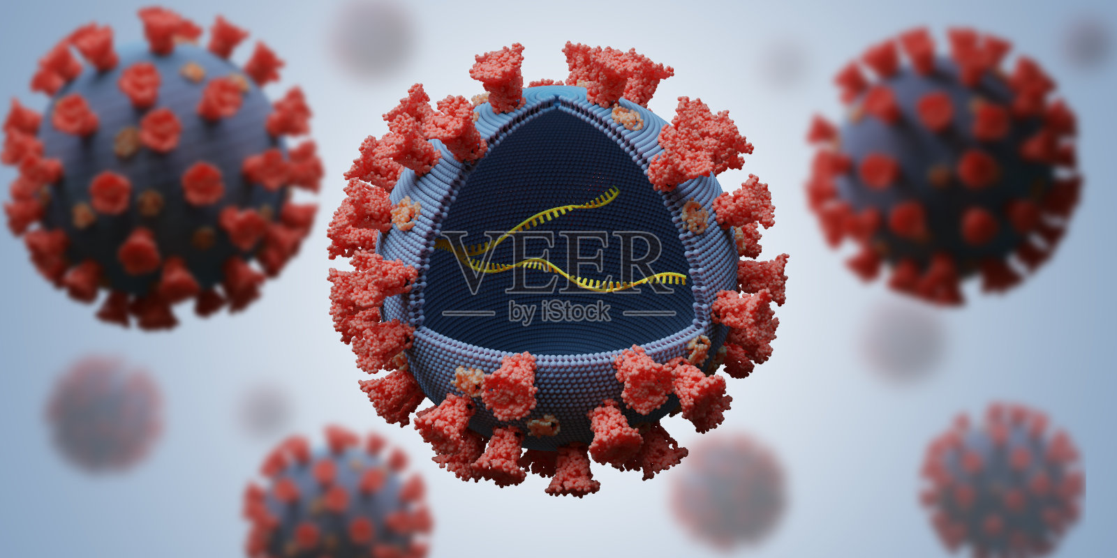 很多病毒里面都有RNA分子。感染的概念。3 d渲染插图。照片摄影图片
