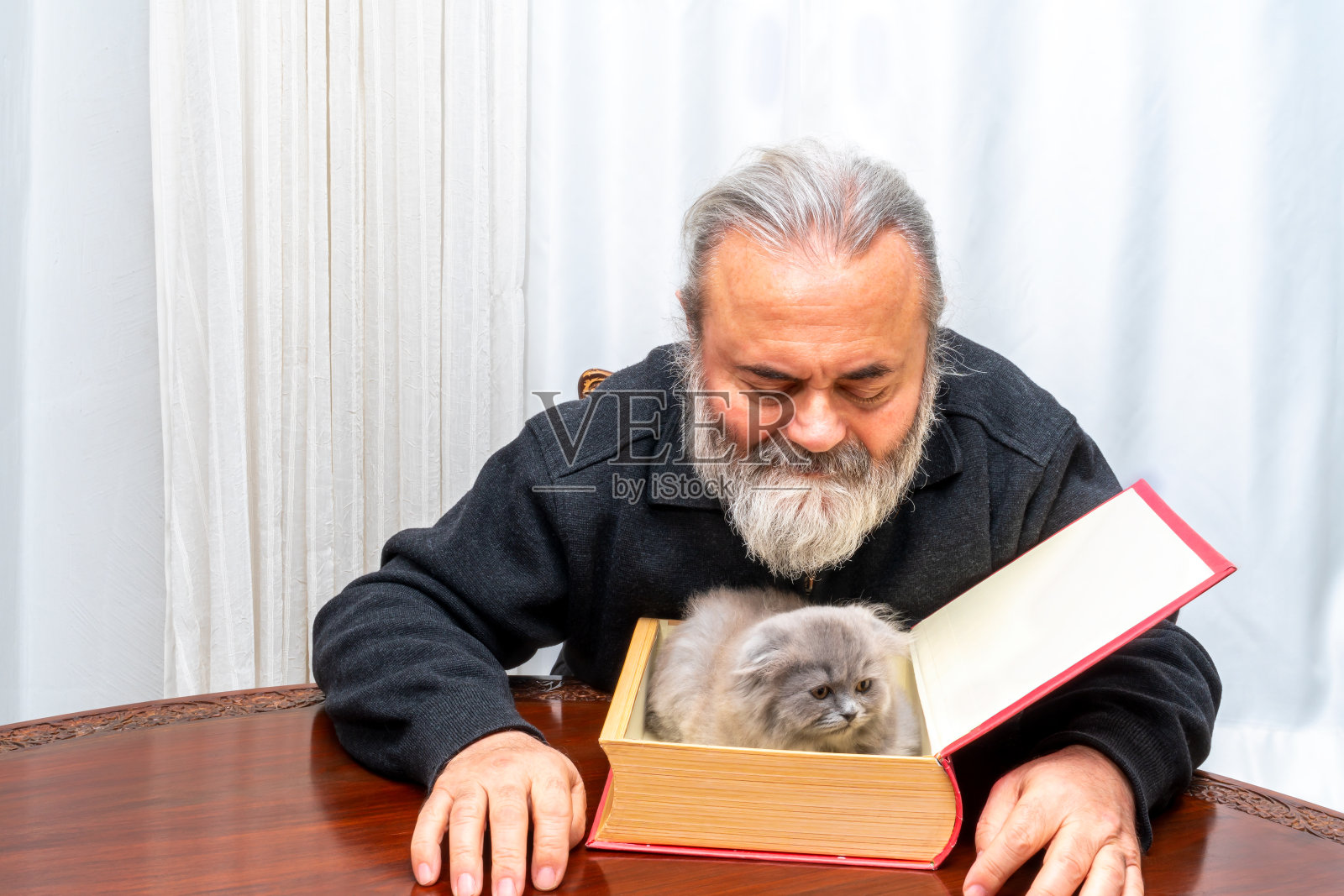 老人正在读一本关于猫的生活的很厚的书照片摄影图片