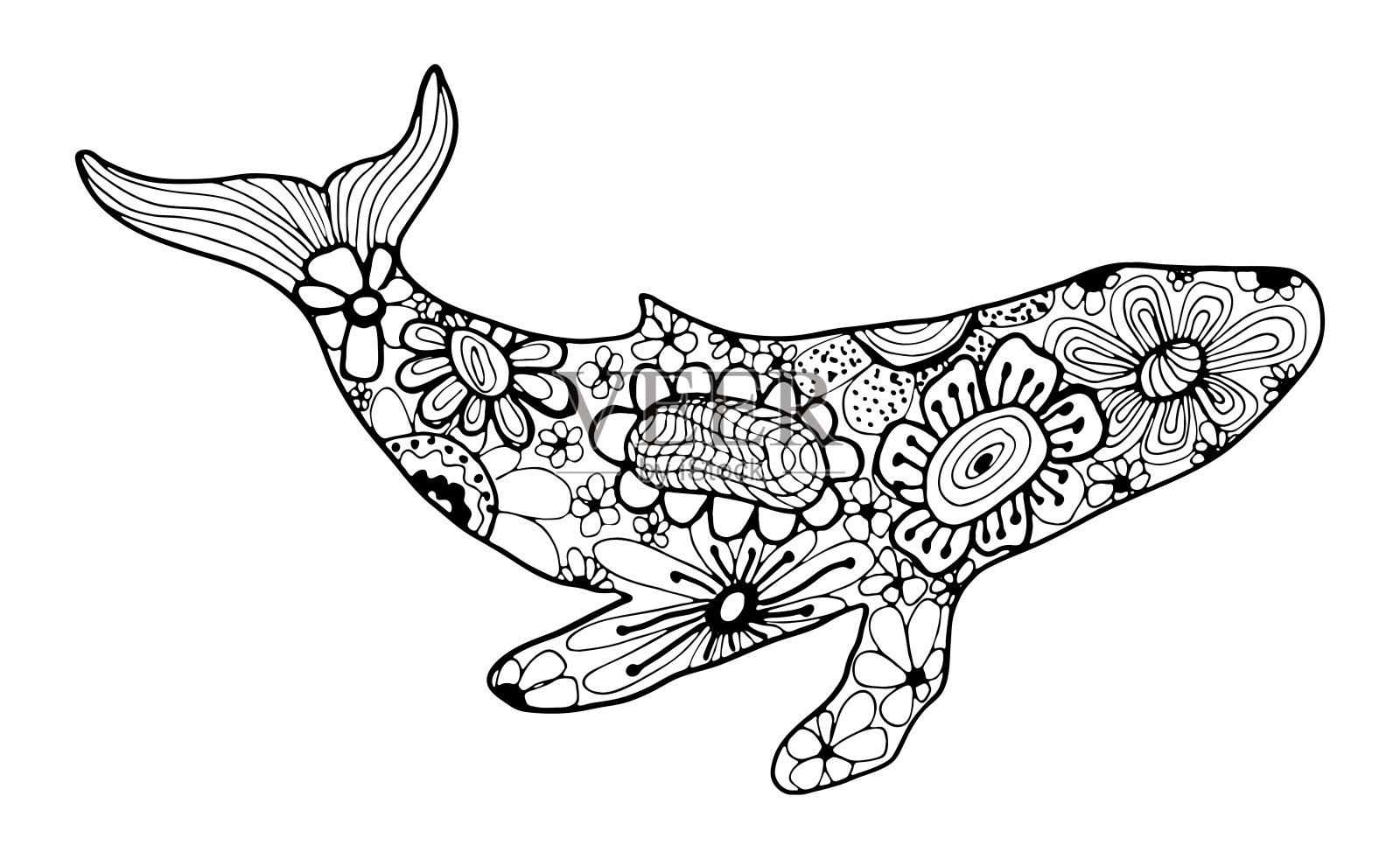 手绘涂鸦和缠结的航海艺术。黑白鲸矢量插图。设计元素图片