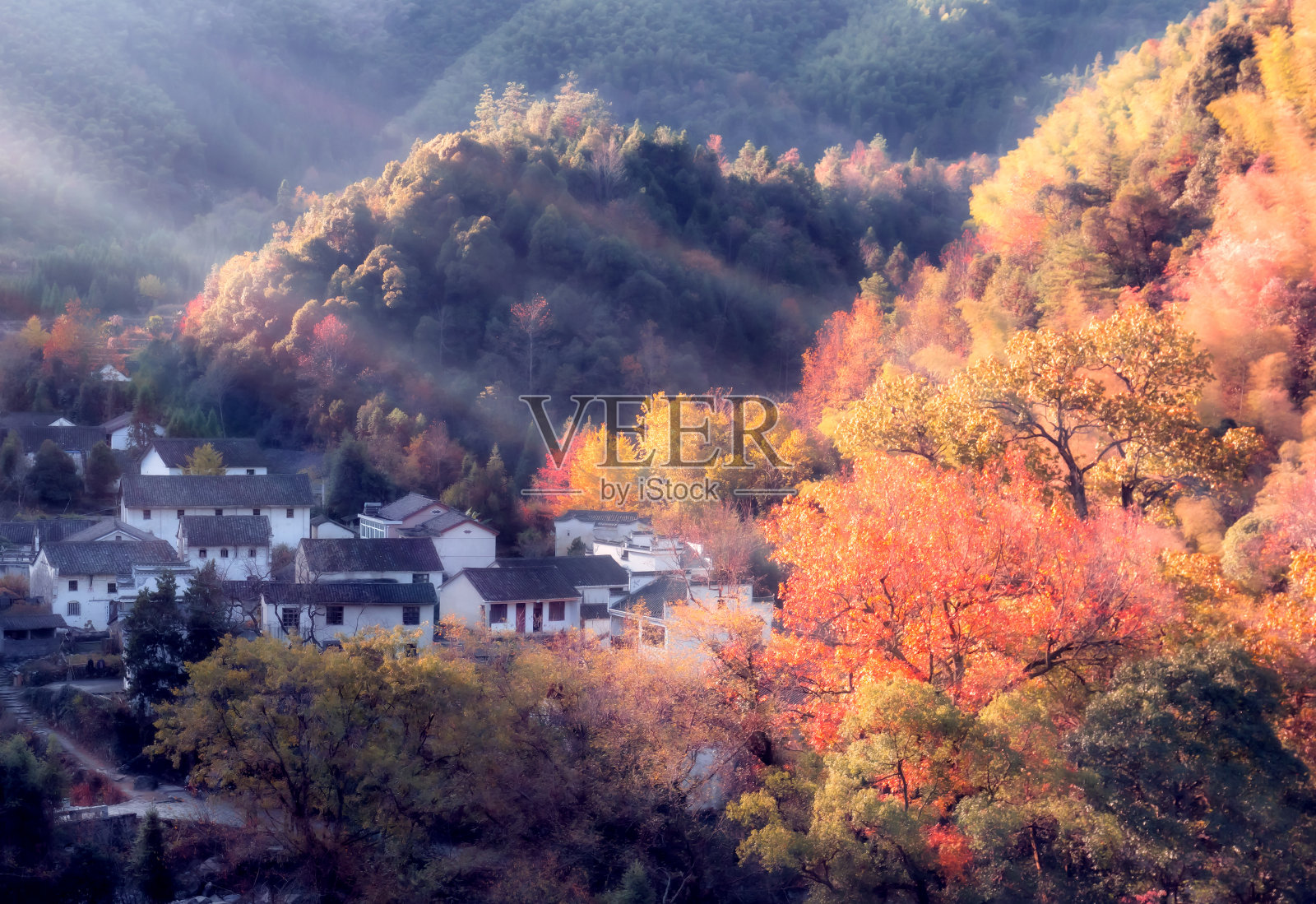 深秋的早晨，中国安徽省的农村照片摄影图片