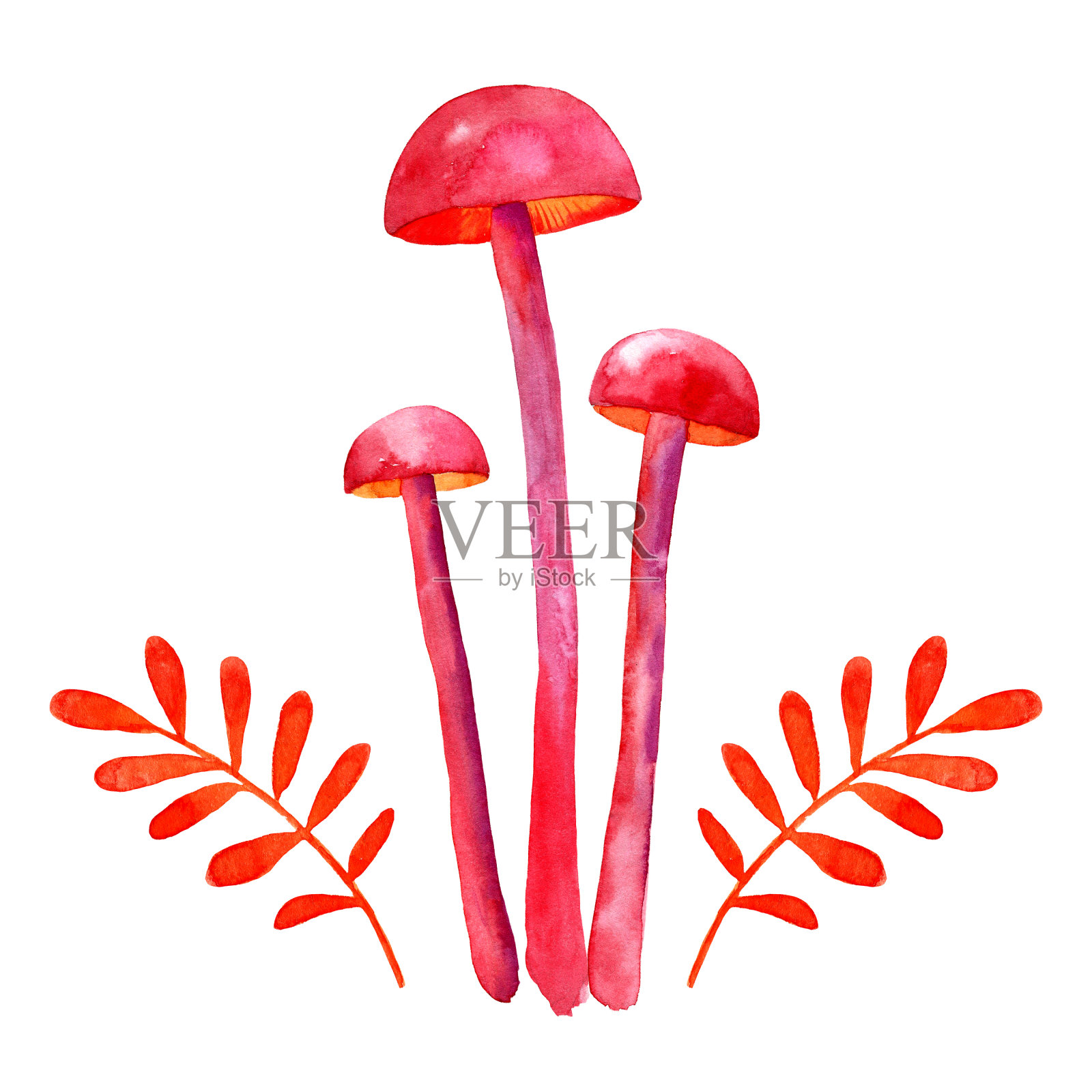 抽象红蘑菇和树枝设置，水彩插图插画图片素材