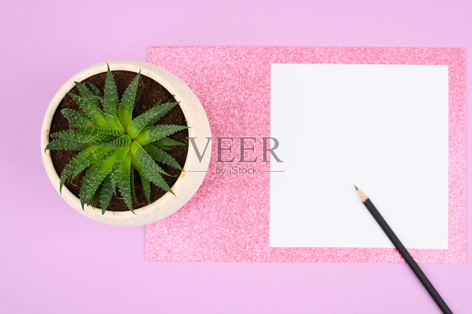 平铺书桌与绿色植物和空白卡在粉红色的背景。女性在职场的概念照片摄影图片