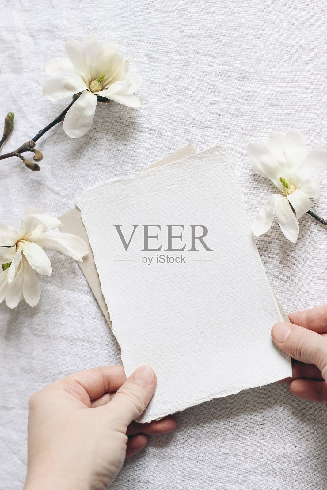 春季女性婚礼文具模型现场。女人的手握空白棉纸卡的特写。盛开的白星玉兰树枝在亚麻桌布上。垂直平放，俯视图。照片摄影图片